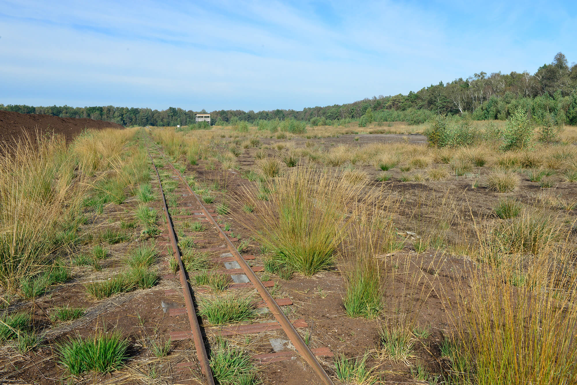 Großer Sassenburg Rundkurs