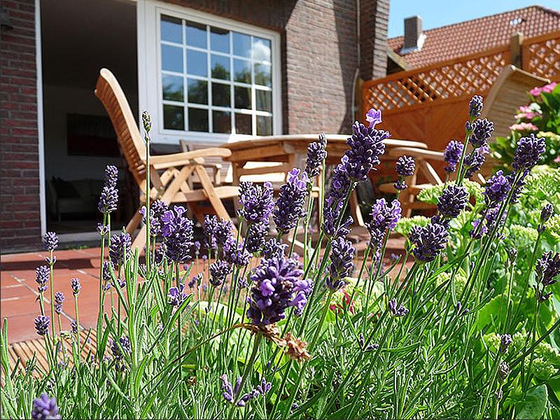 Haus Fregatte - Whg. 1, Wangerooge