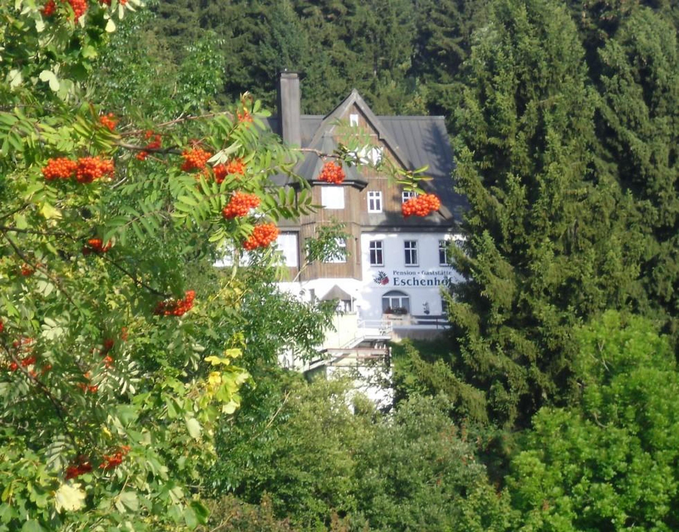 Pension & Gaststätte Naturbaude Eschenhof – Motiv