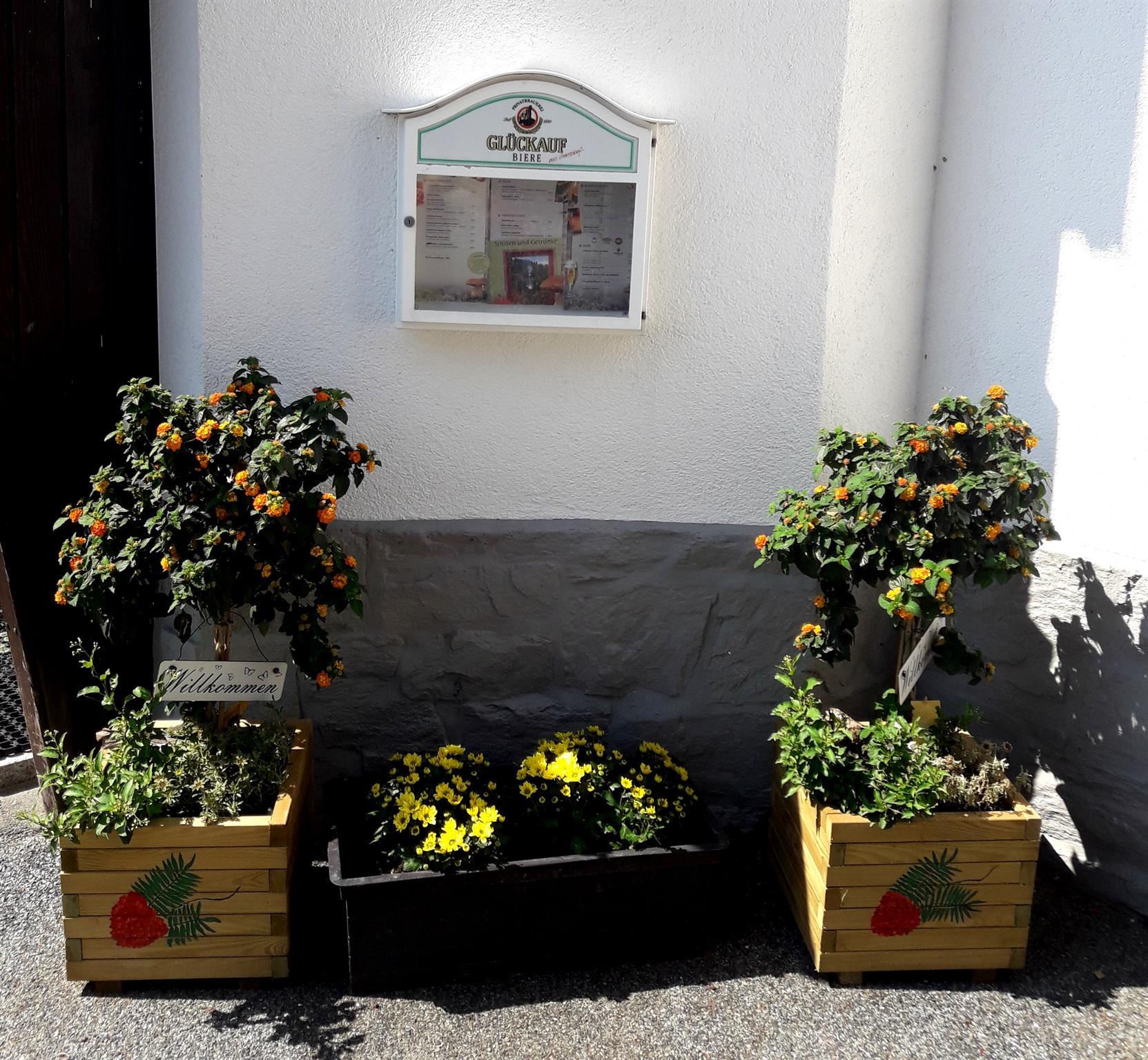 Pension & Gaststätte Naturbaude Eschenhof, Oberwiesenthal