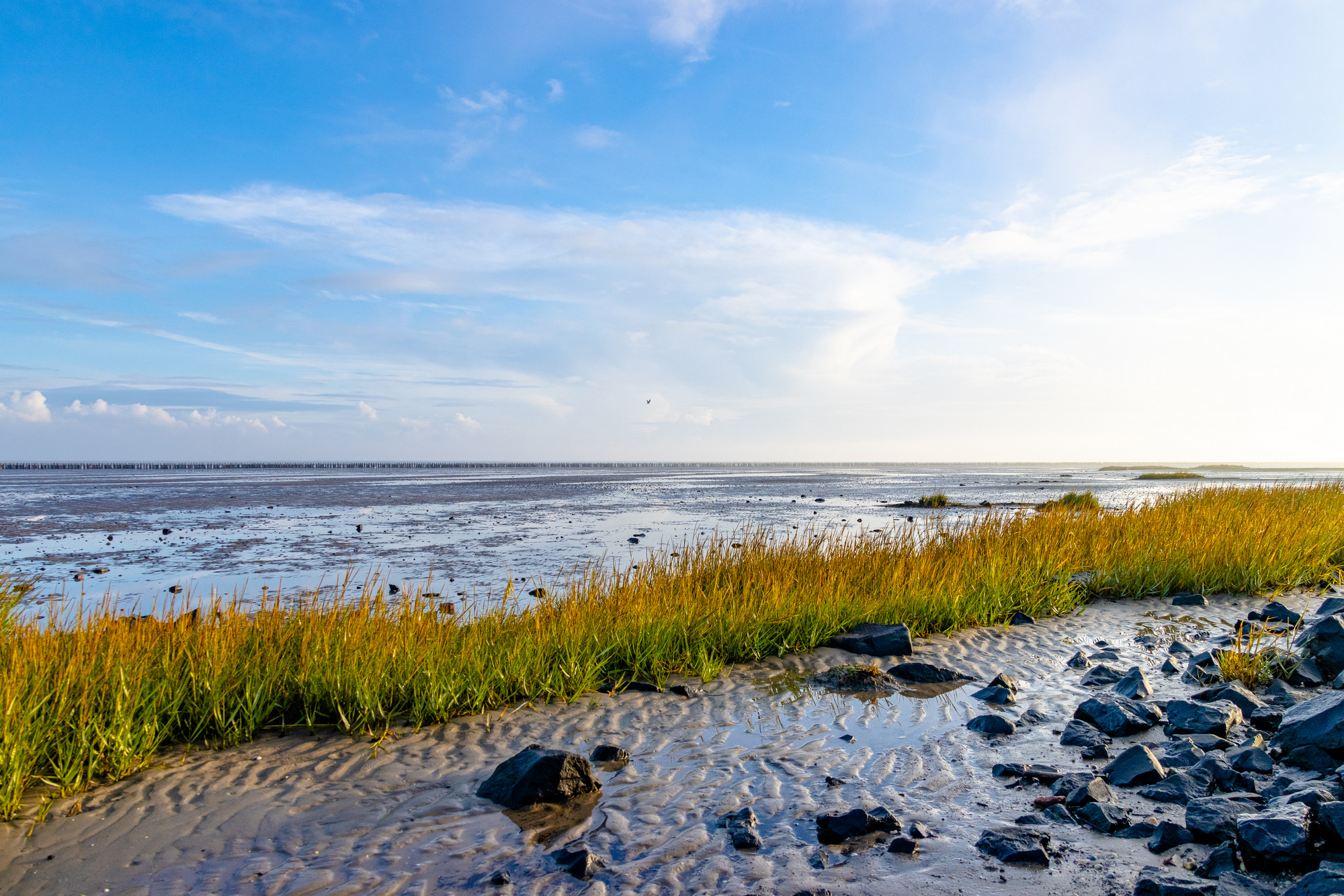 Naturstrand Bensersiel
