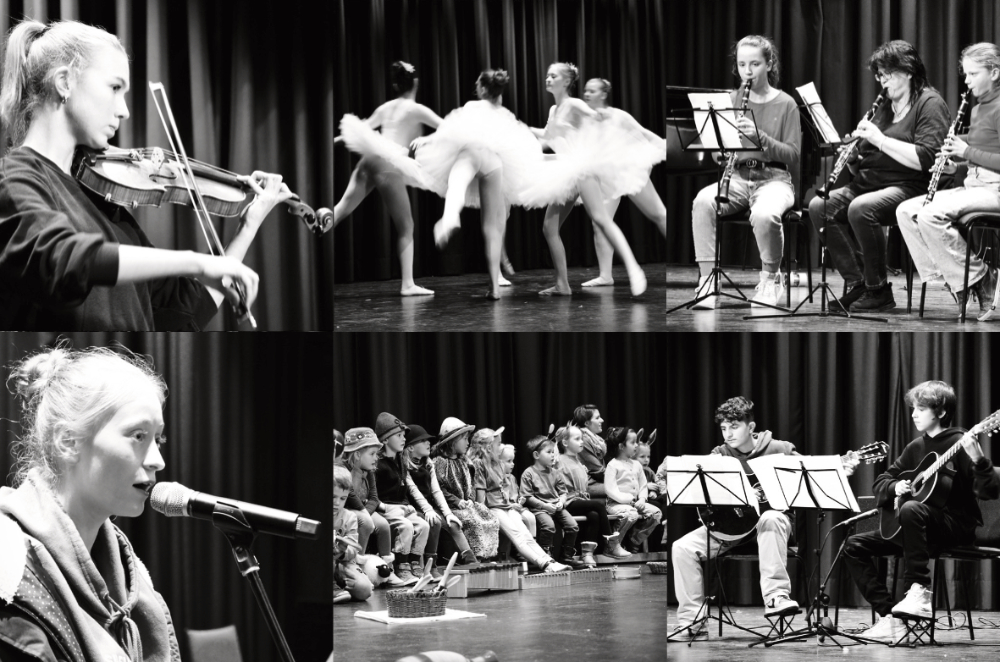 jubiläumskonzert musikschule_©christoph scherer.jpg