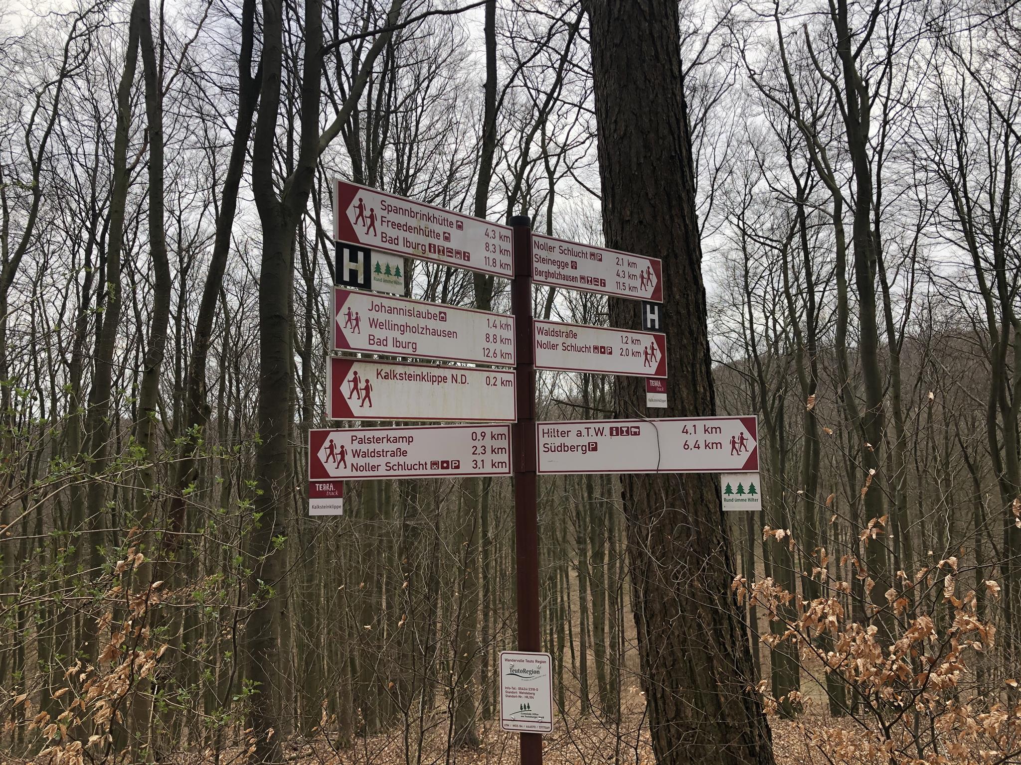 Wandern
