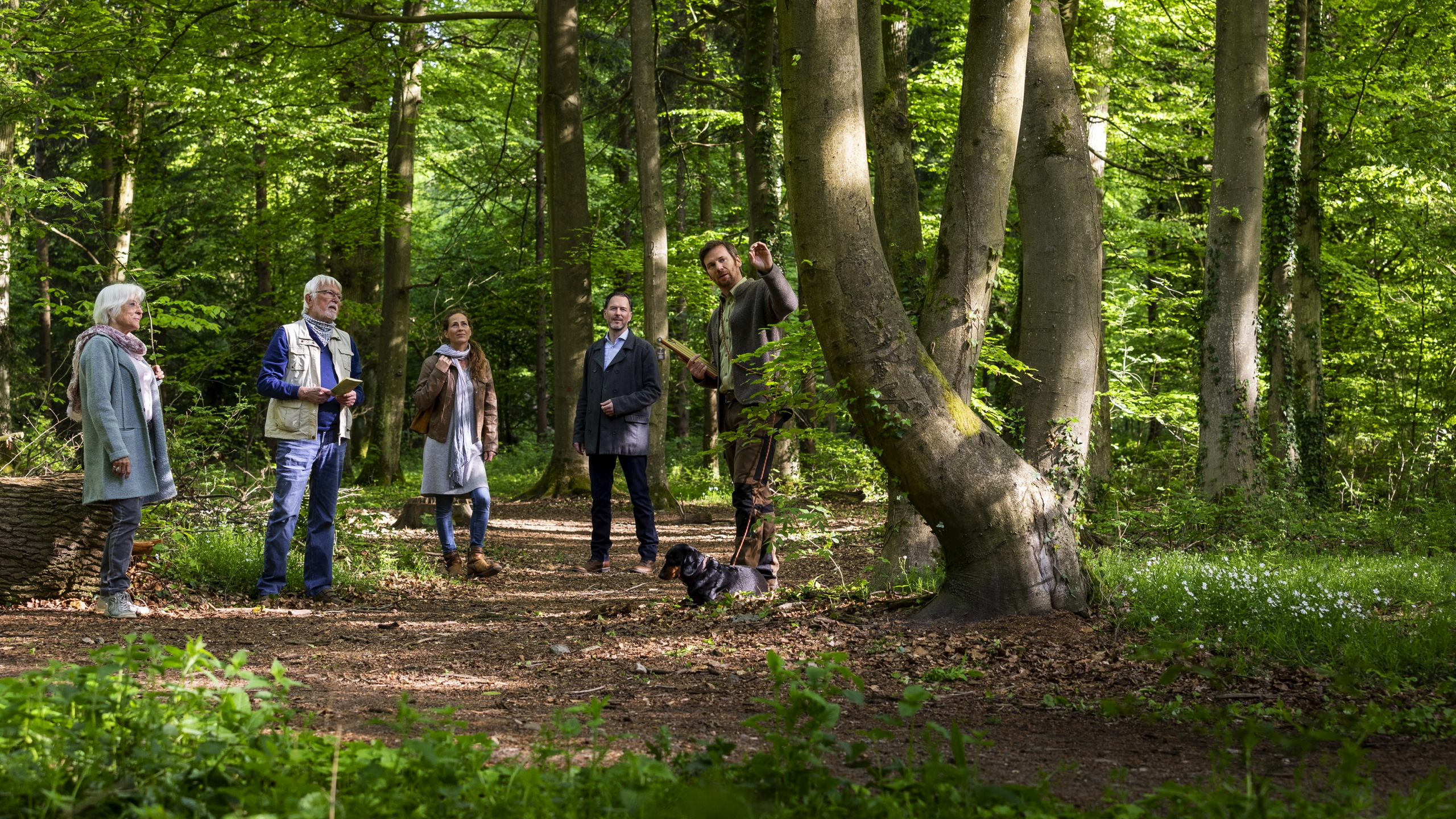 Waldführung im Friedwald Bramsche