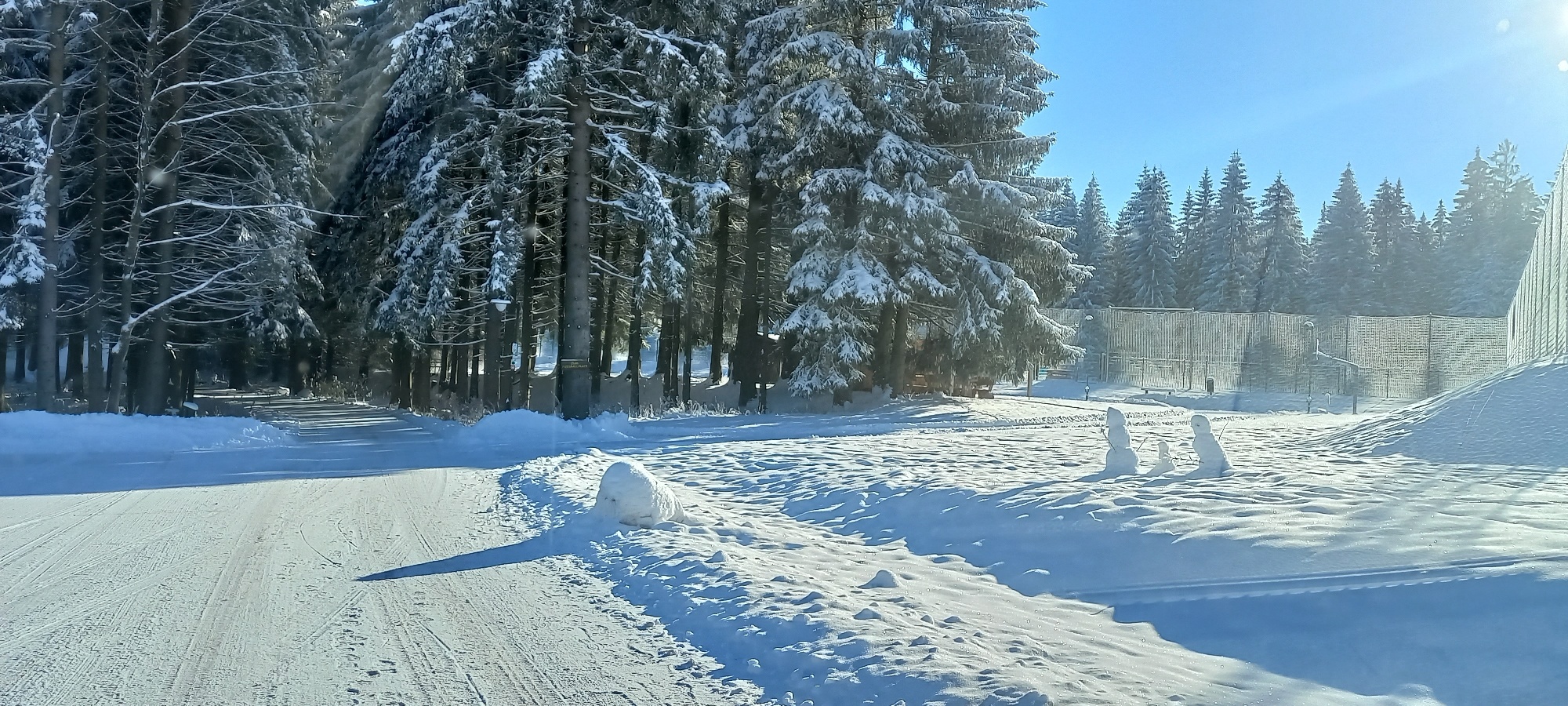 Winterwanderweg Grünheide – kleine Runde 1 – Motiv