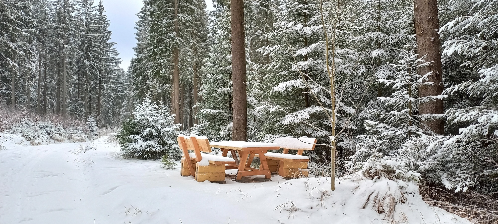 Winterwanderung Beerheide – mittlere Runde – Motiv