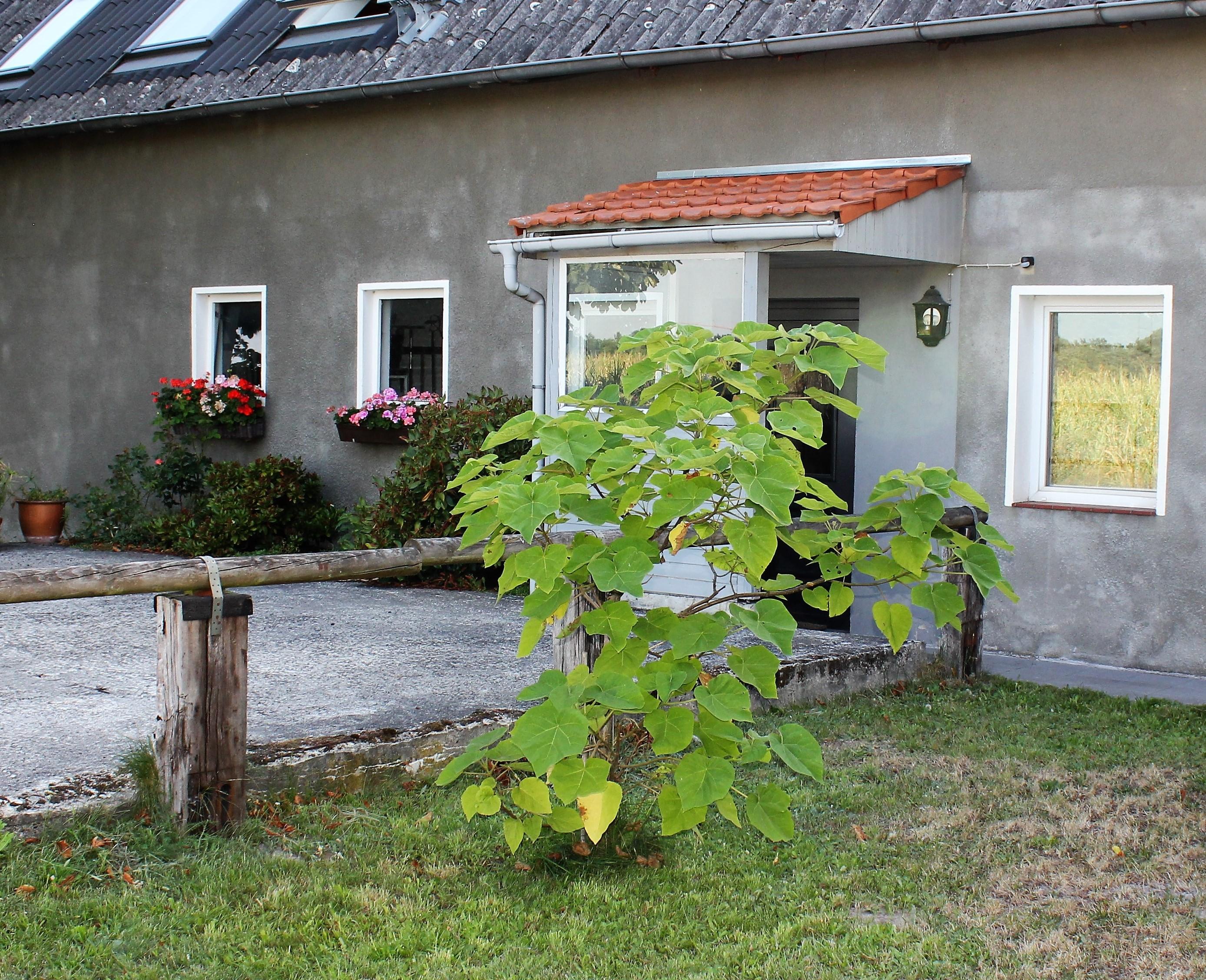 Ferienwohnung Helene Eingangsbereich/ Parkbereich