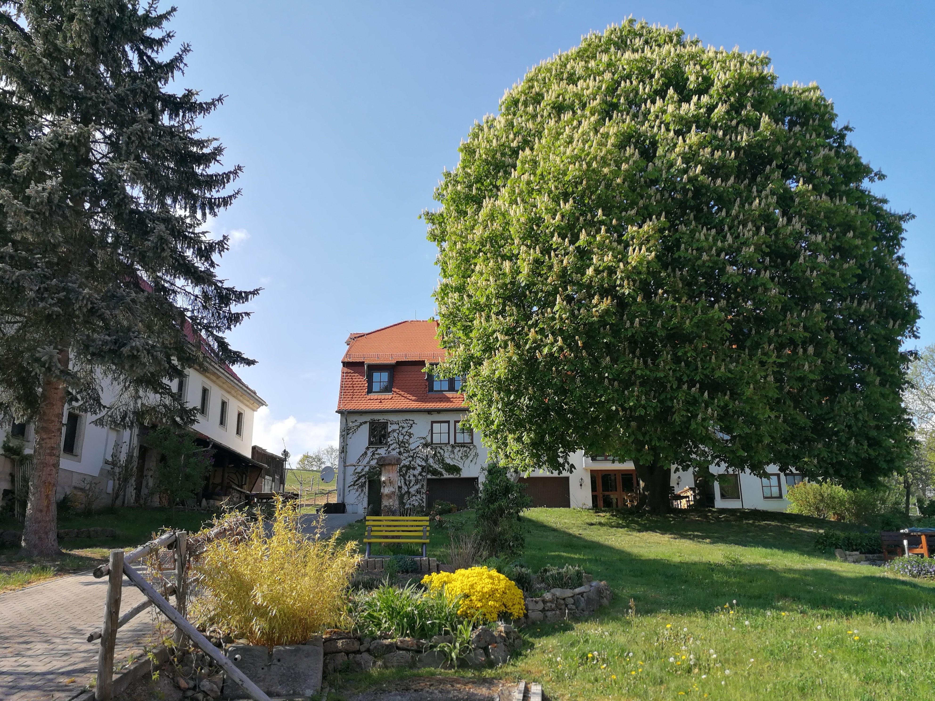 Ferienwohnungen „Gute Laune Hof“