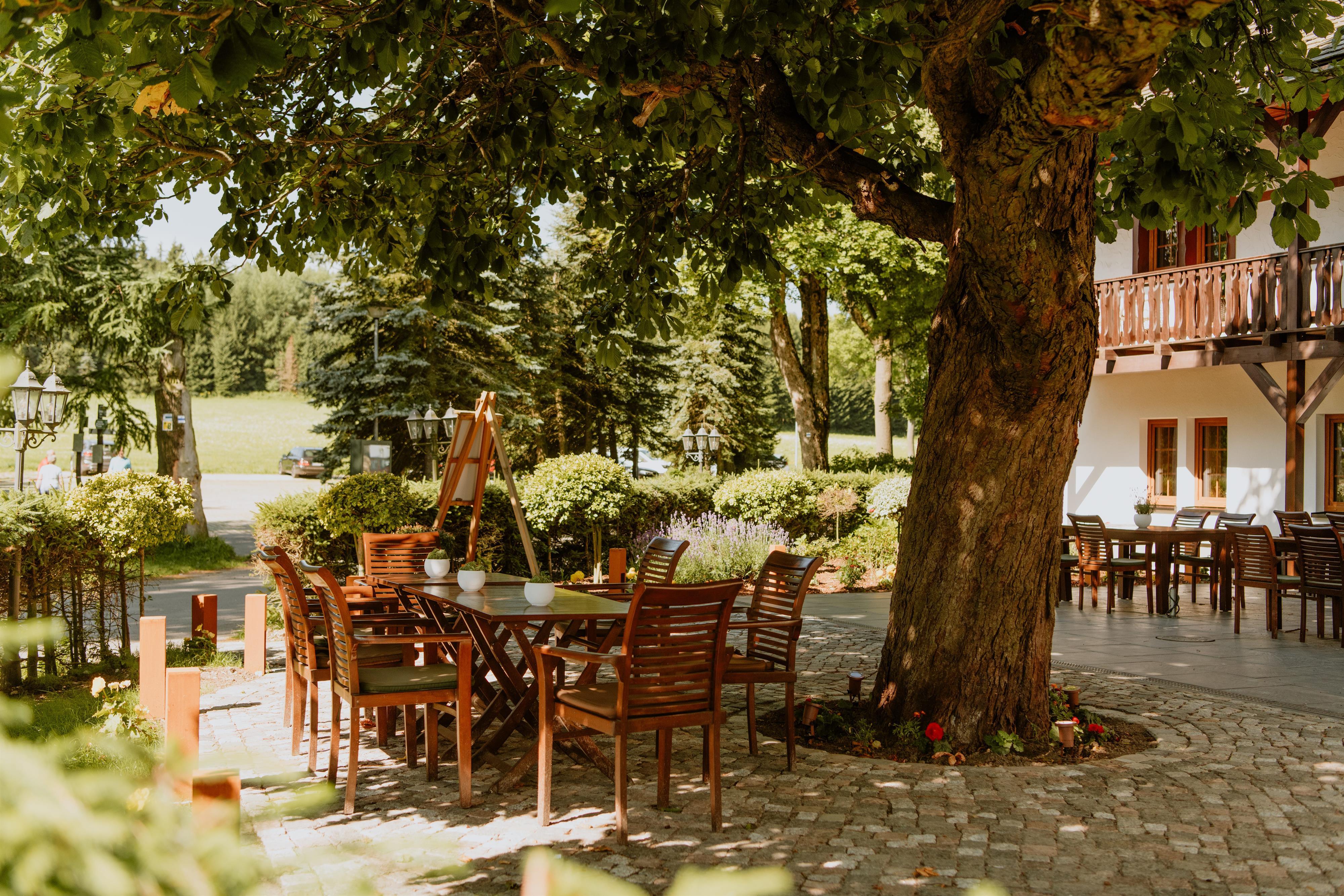 Waldhotel Kreuztanne GmbH – Motiv