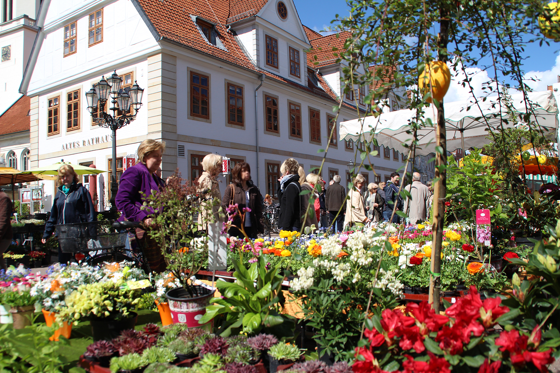 Bild vergrößern: Wochenmarkt in Celle