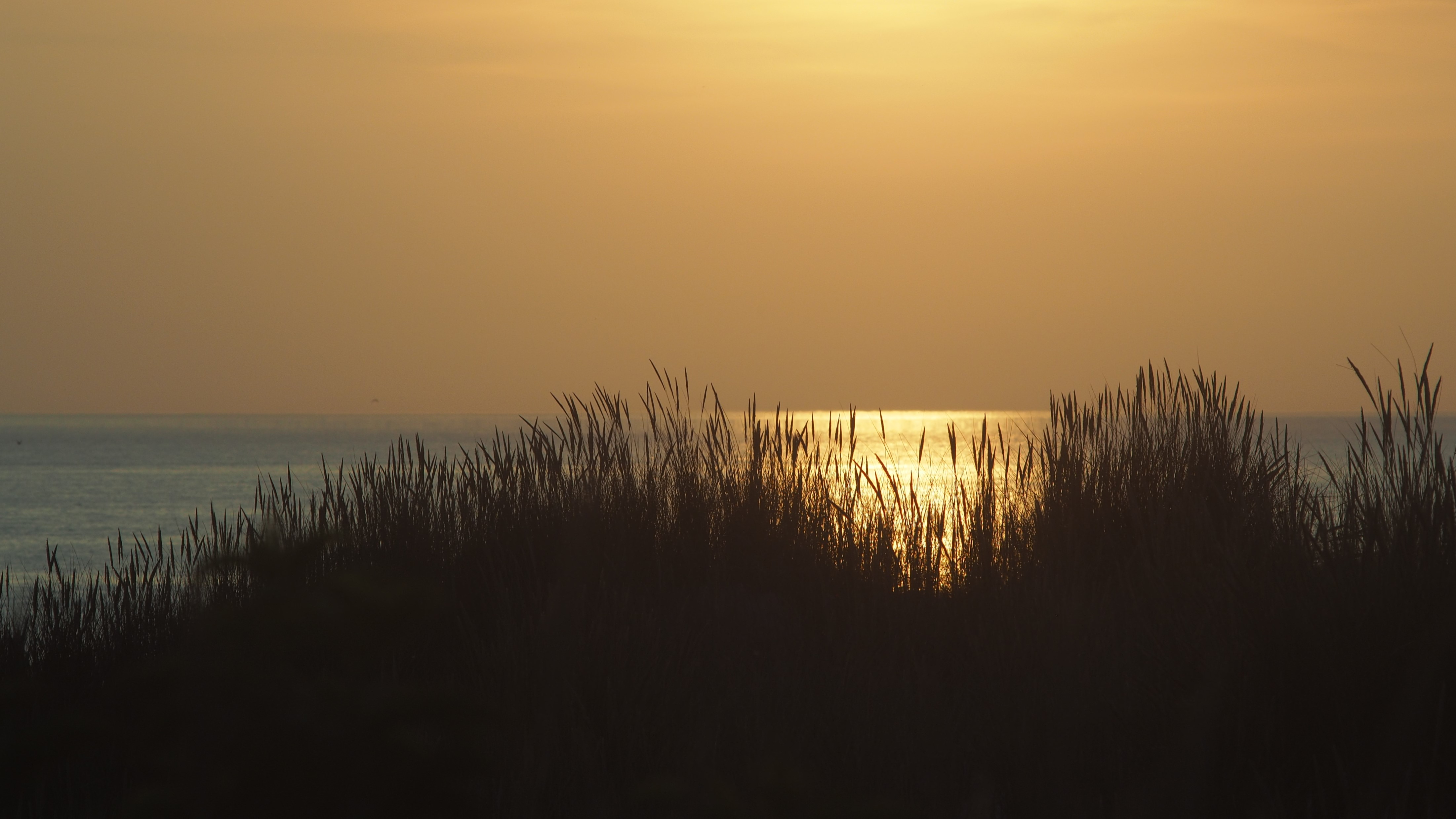 Der perfekte Strandspaziergang