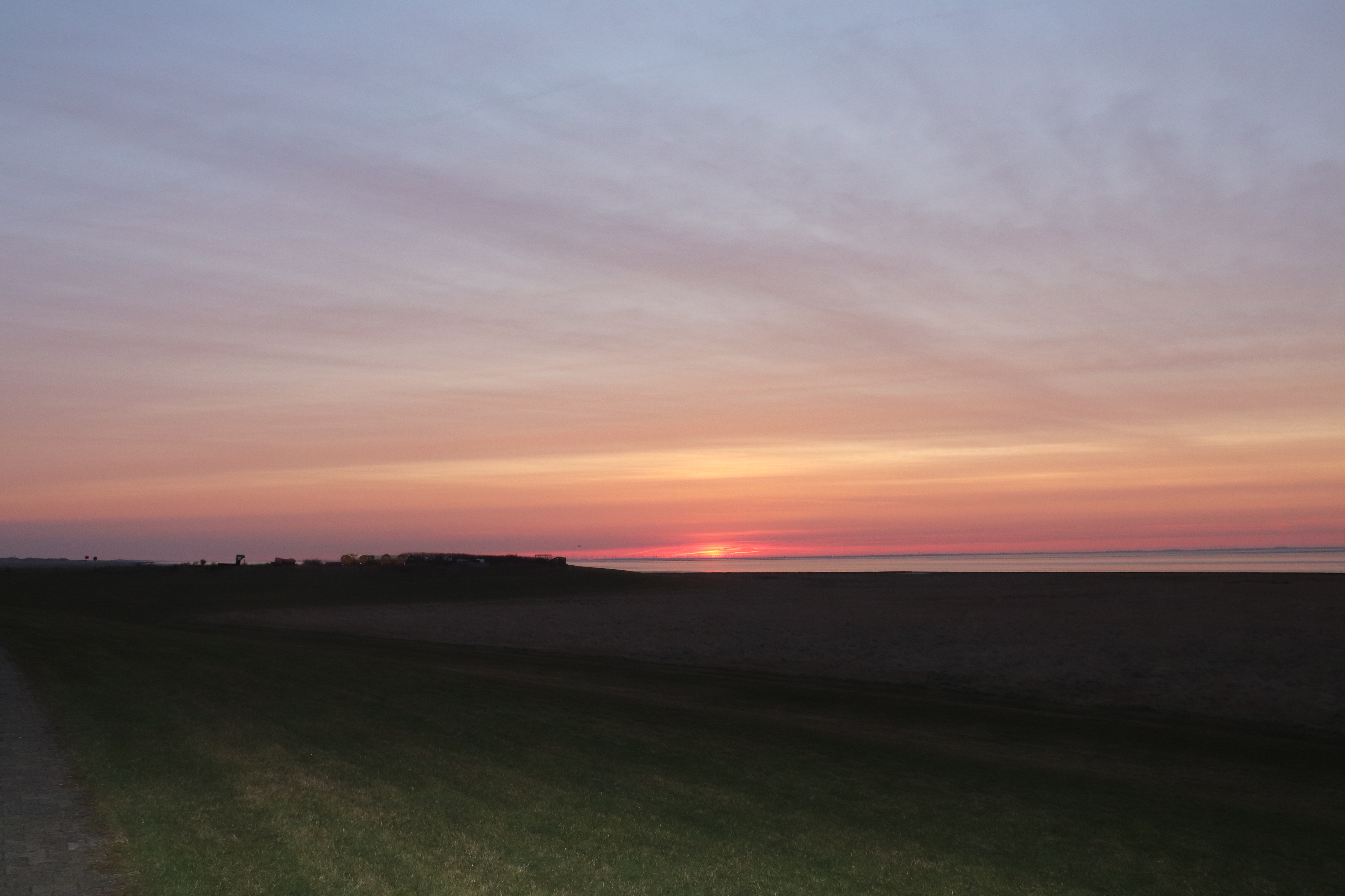 Liebster Sonnenaufgangsort: Hundeauslaufplatz