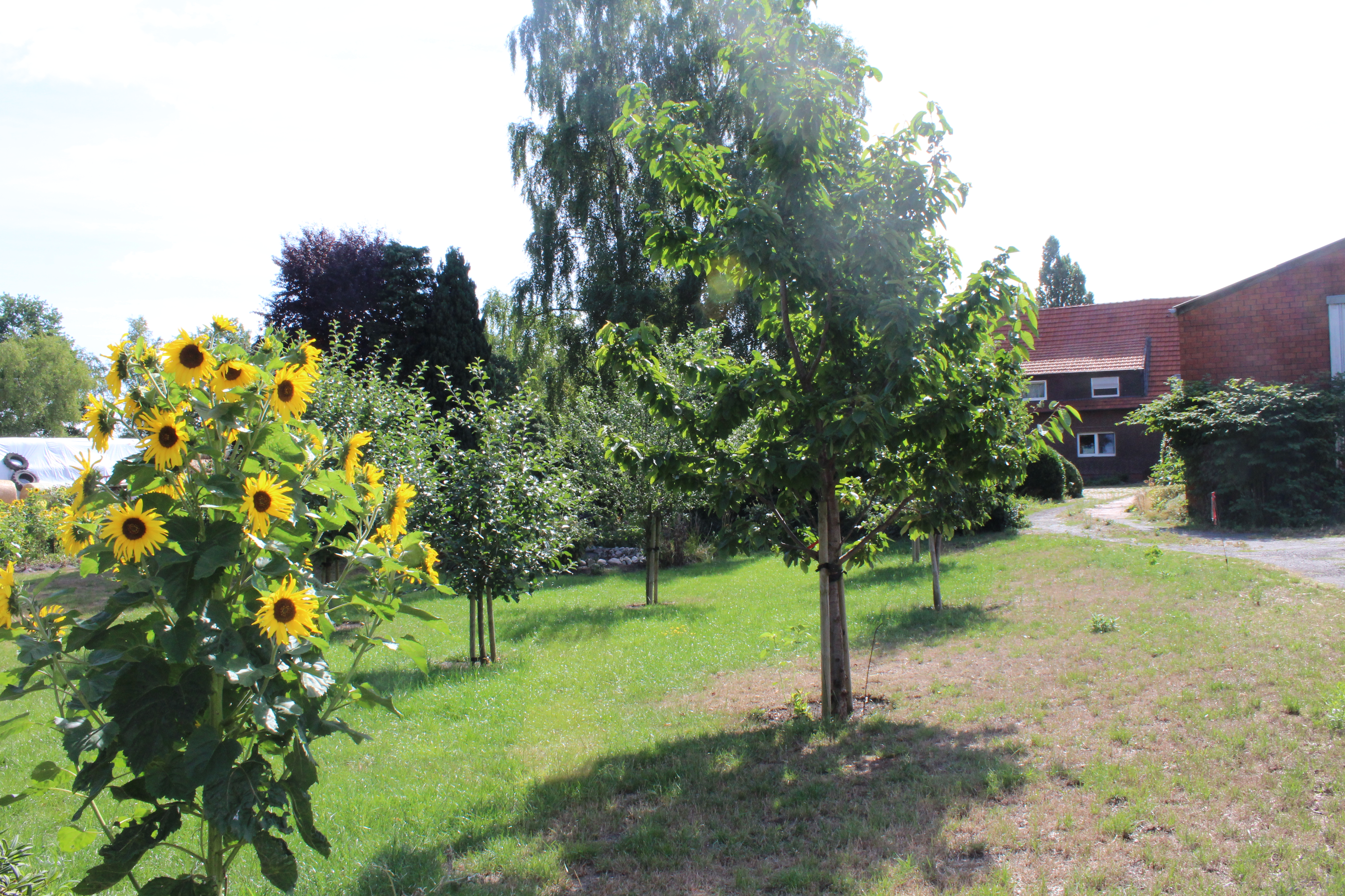 Kläbe's Ferienwohnung, Uchte