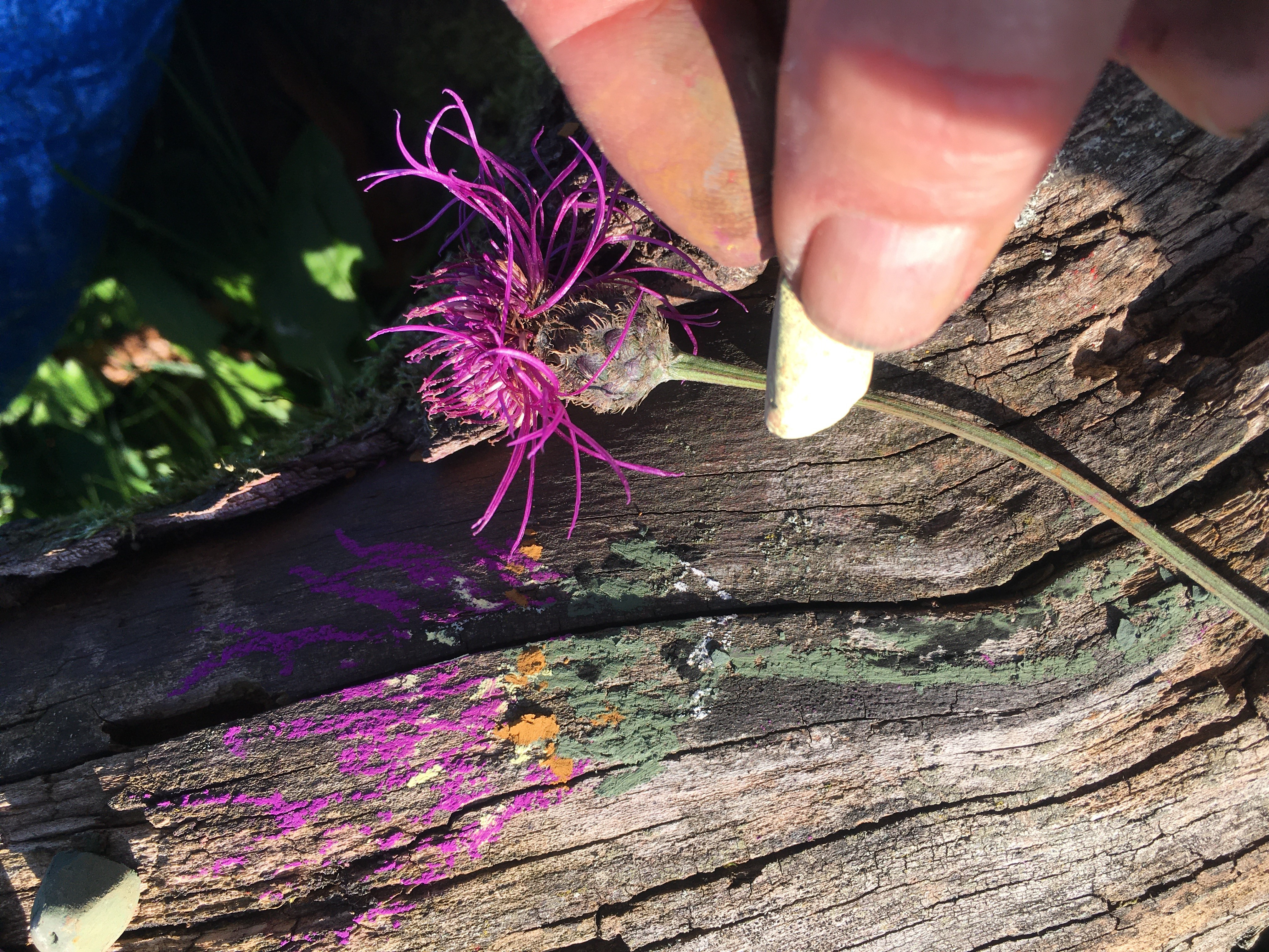 Kunst in der Natur