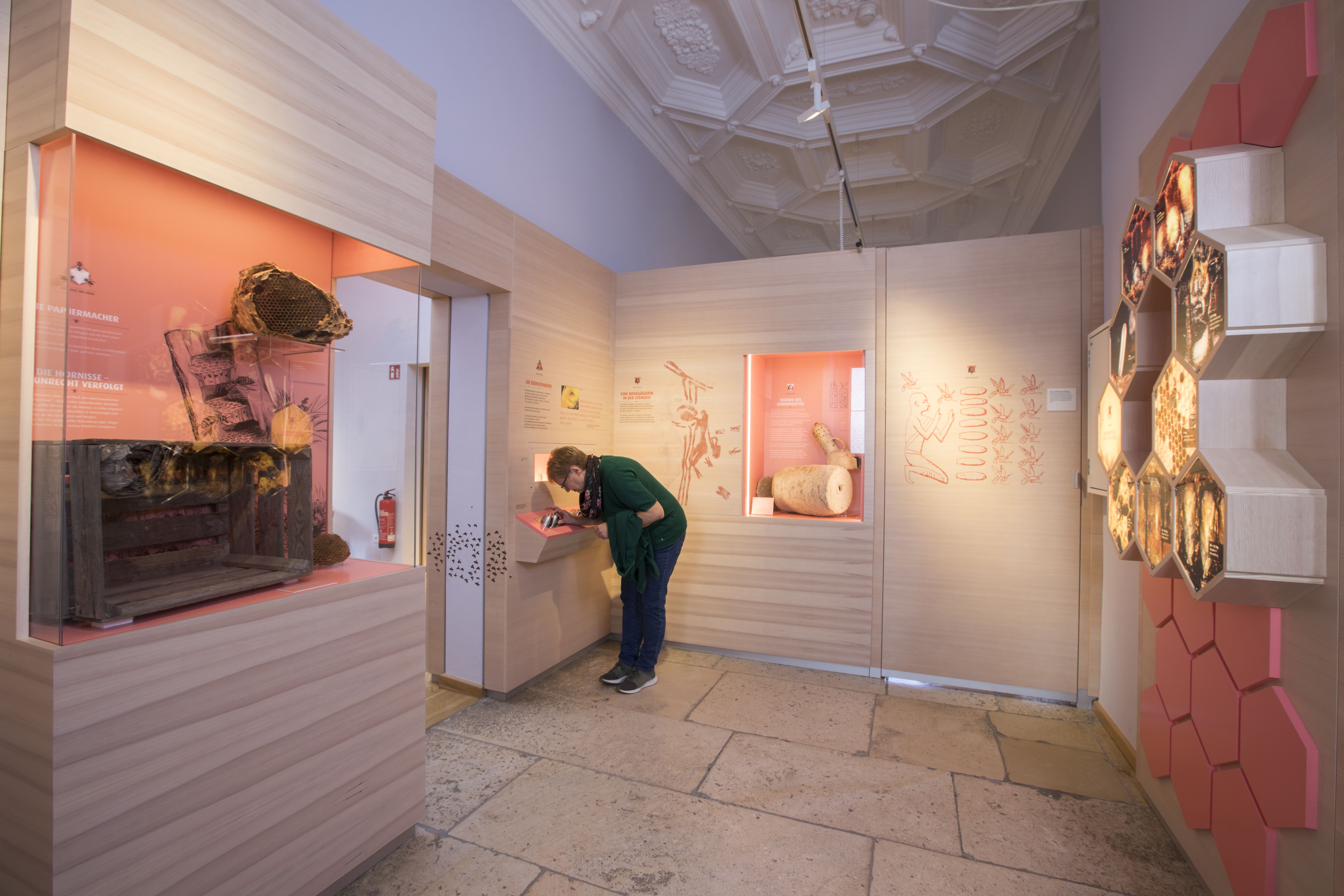 Illertissen Bienenmuseum 2019 Mikroskop Aufnahme Ulrike Klumpp Fotografie.jpg