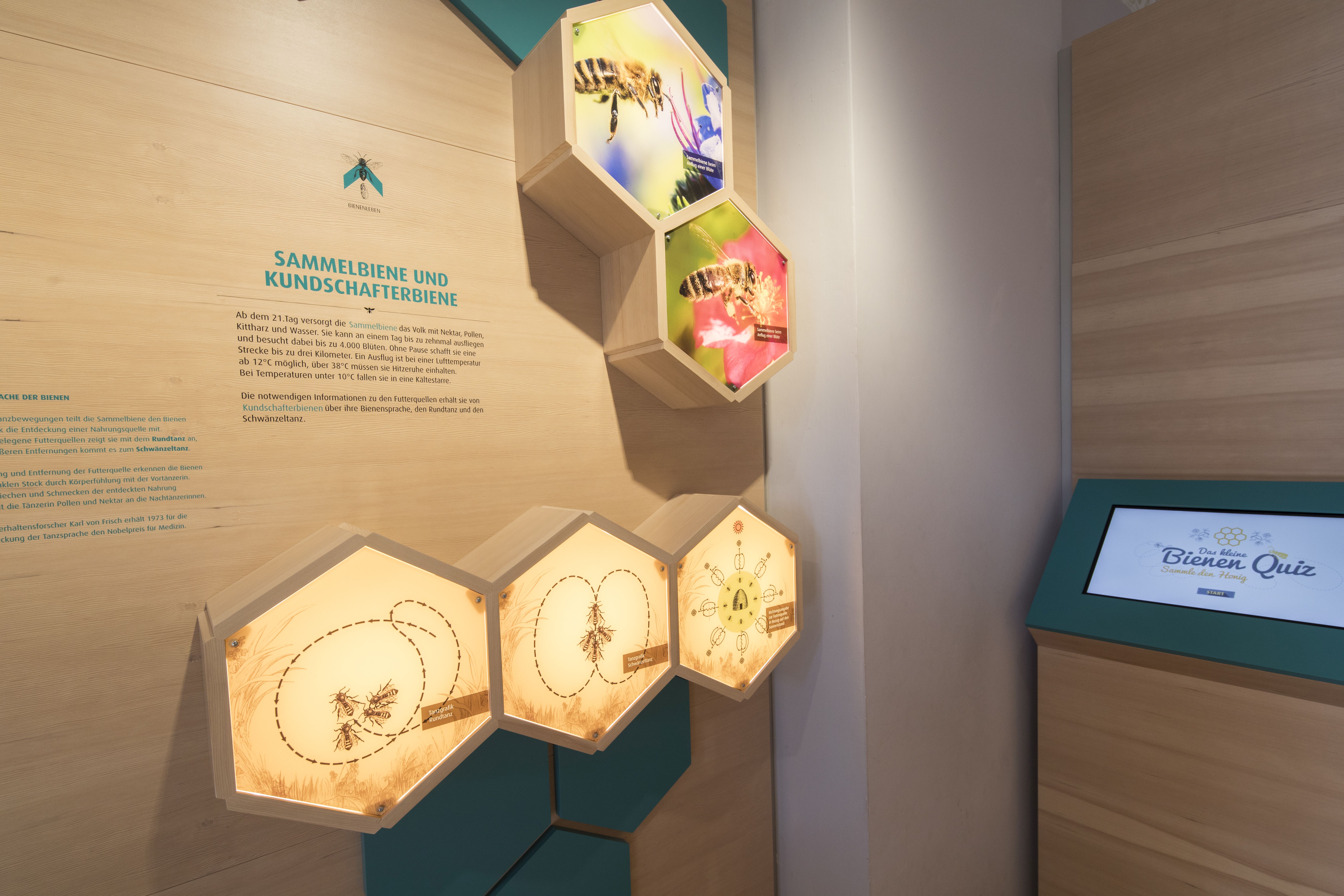 Illertissen Bienenmuseum 2019 Bienenquiz Aufnahme Ulrike Klumpp Fotografie.jpg