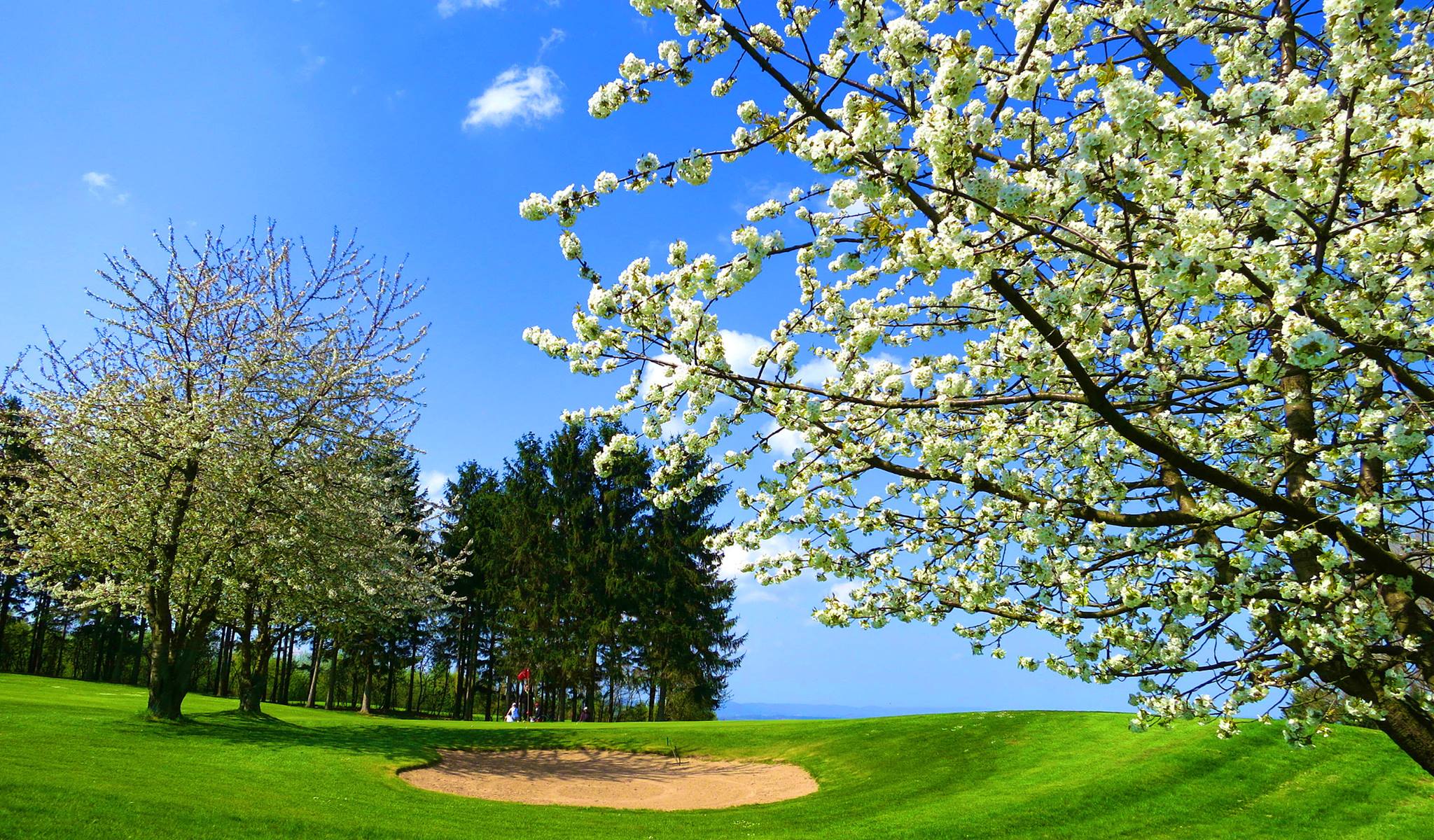 Golfclub Schaumburg