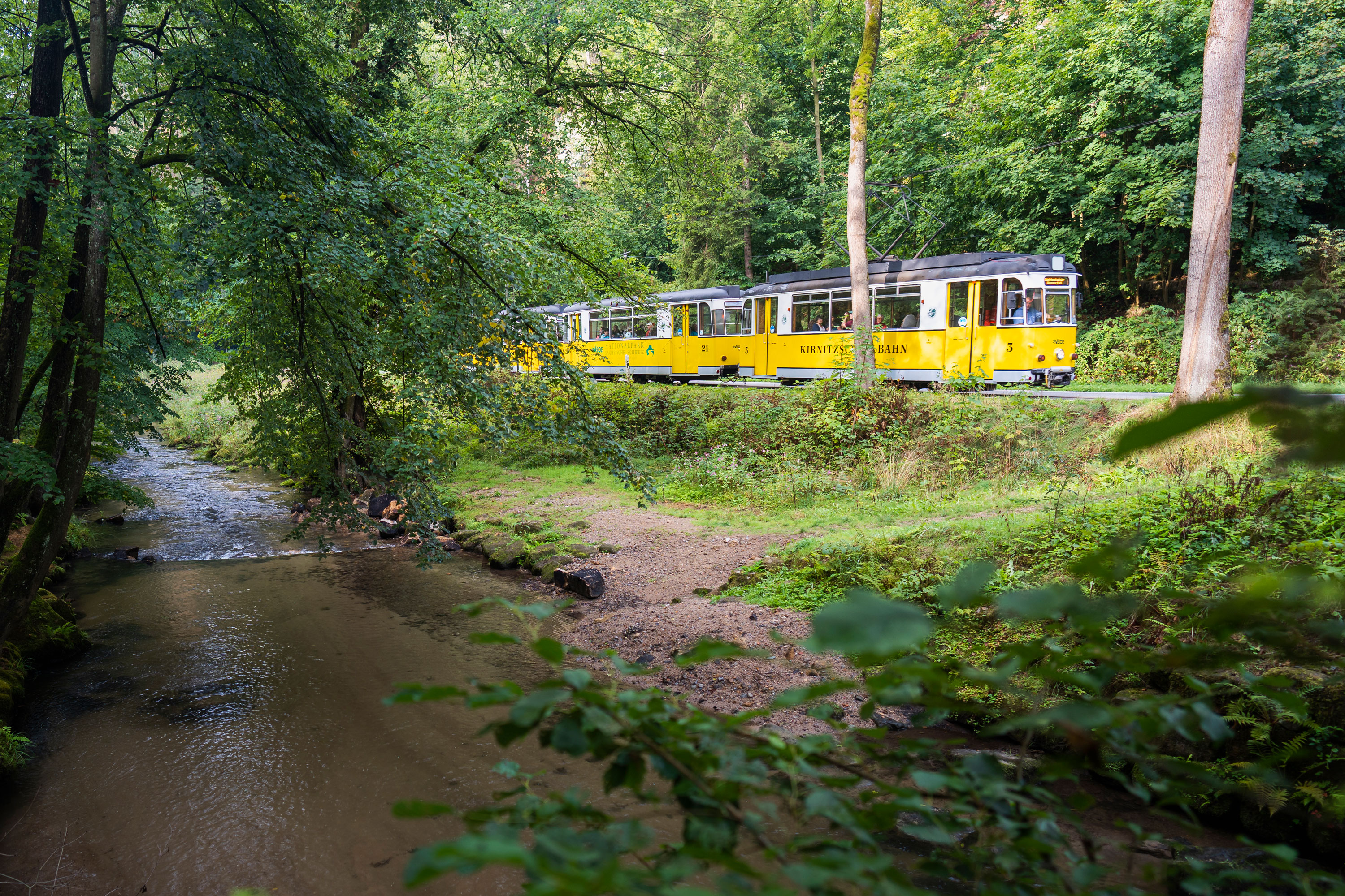 Kirnitzschtalbahn – Motiv