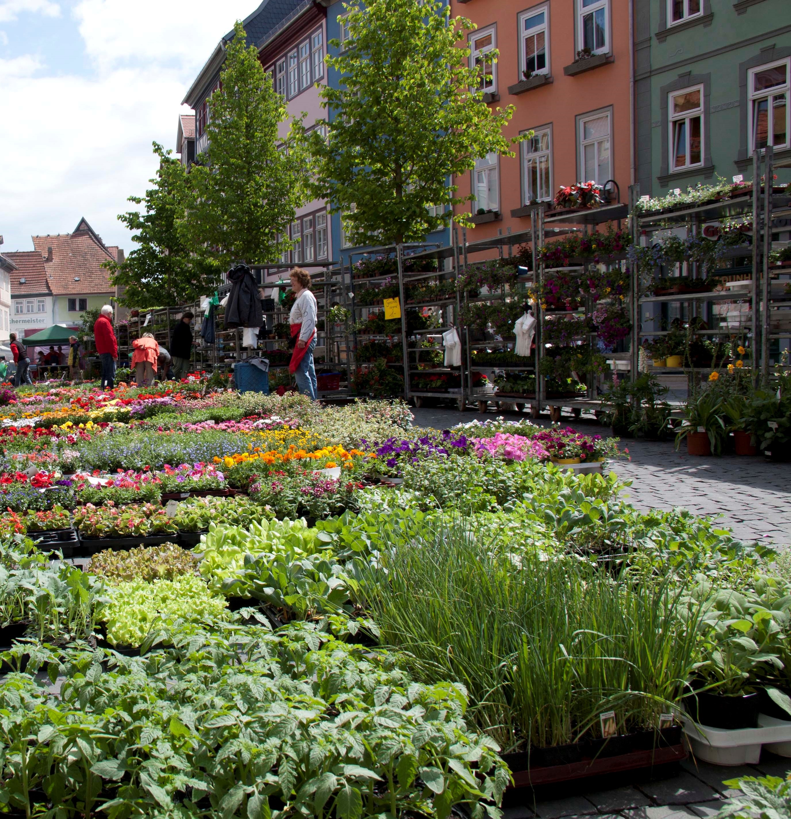 Wochenmarkt