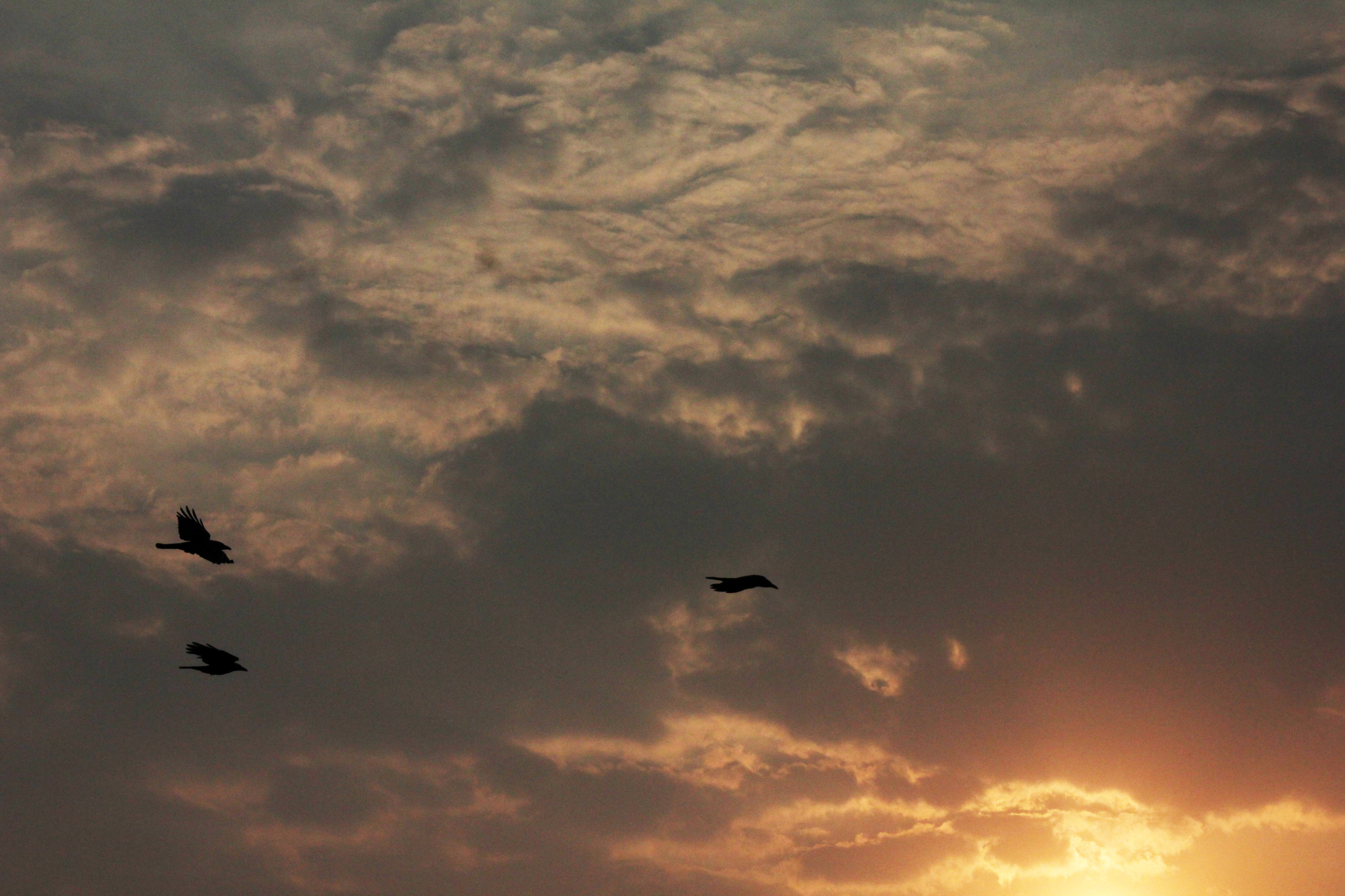 Sonnenuntergang