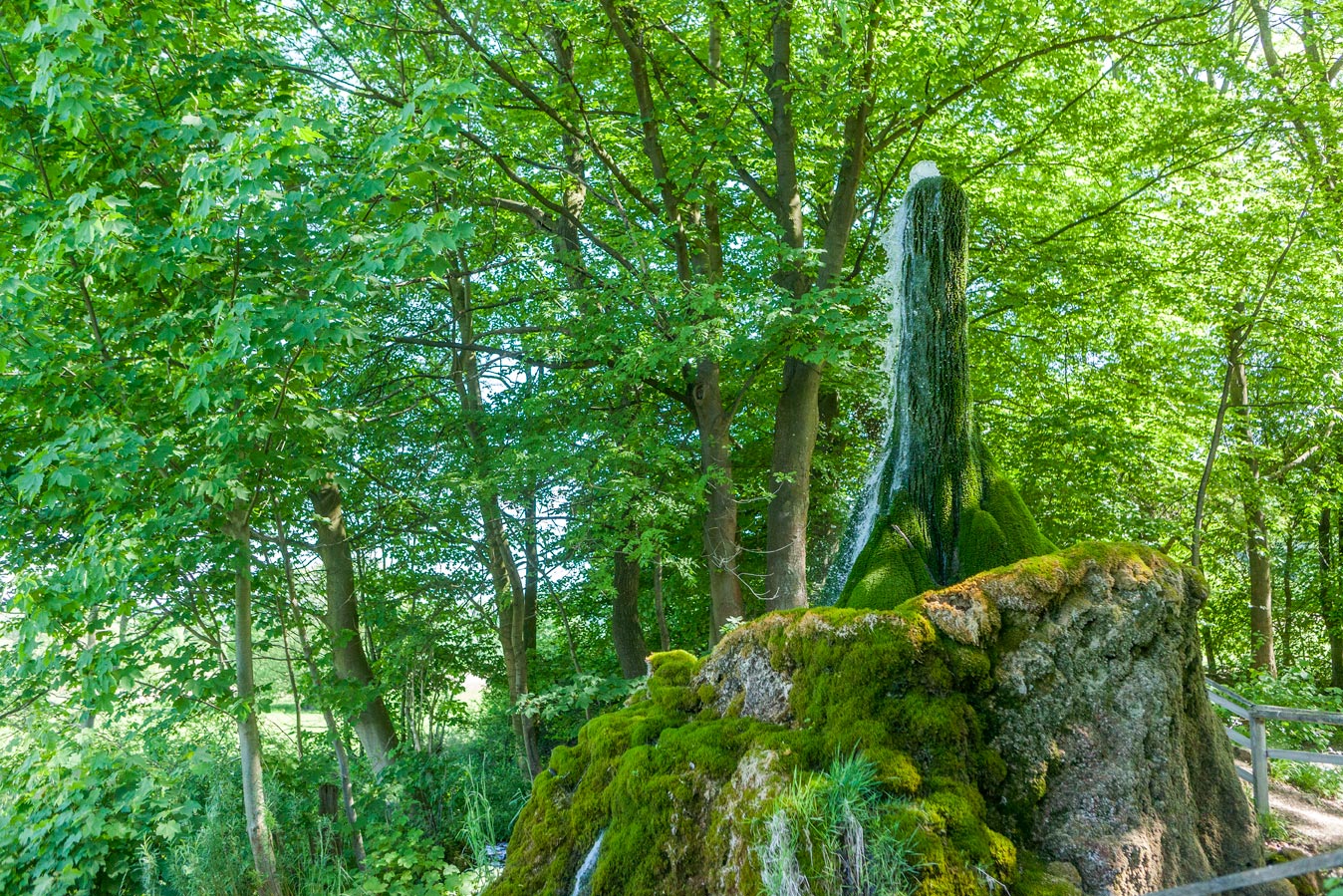 Wasserbaum Ockensen