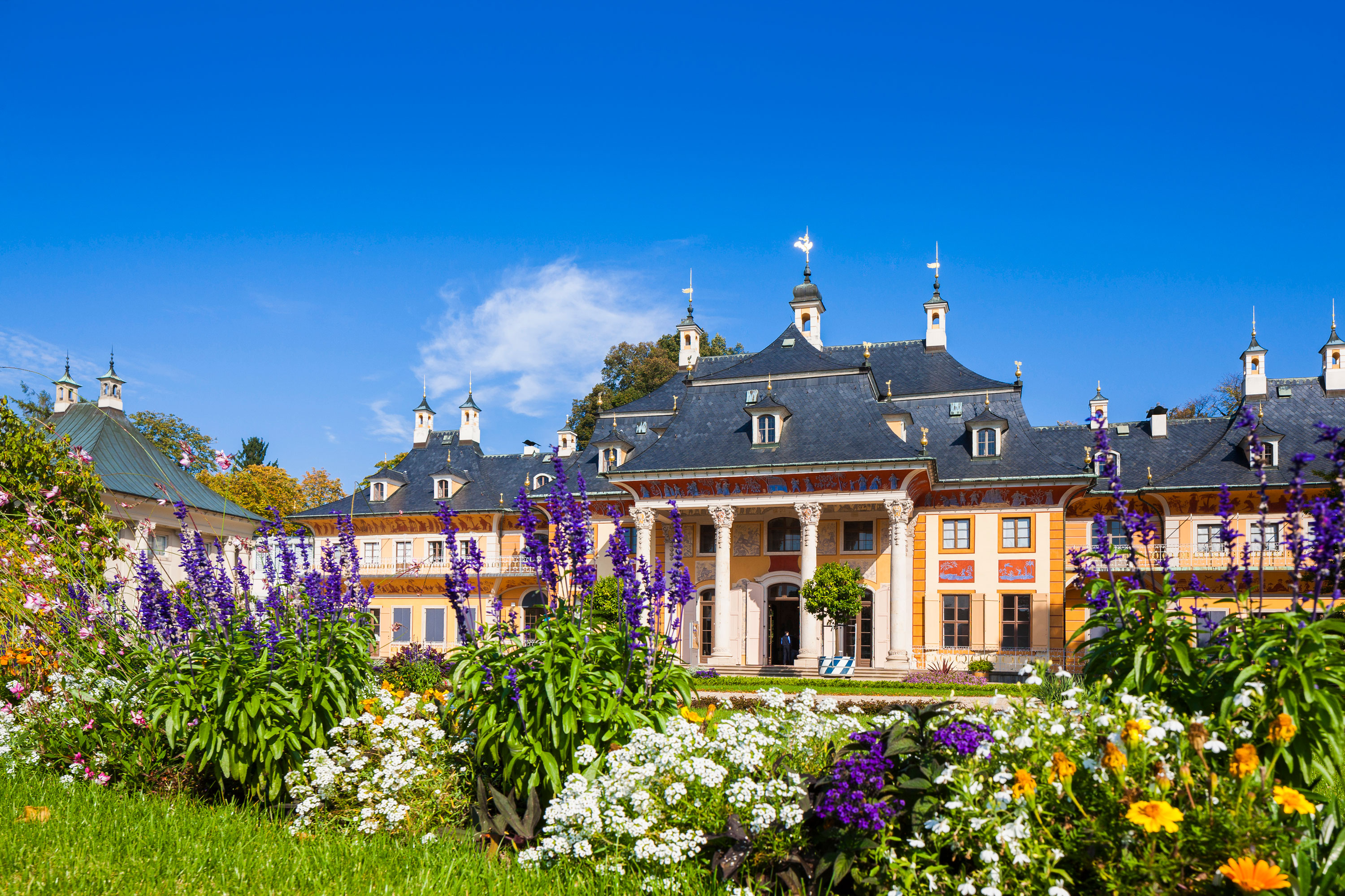 Schloss und Park Pillnitz – Motiv