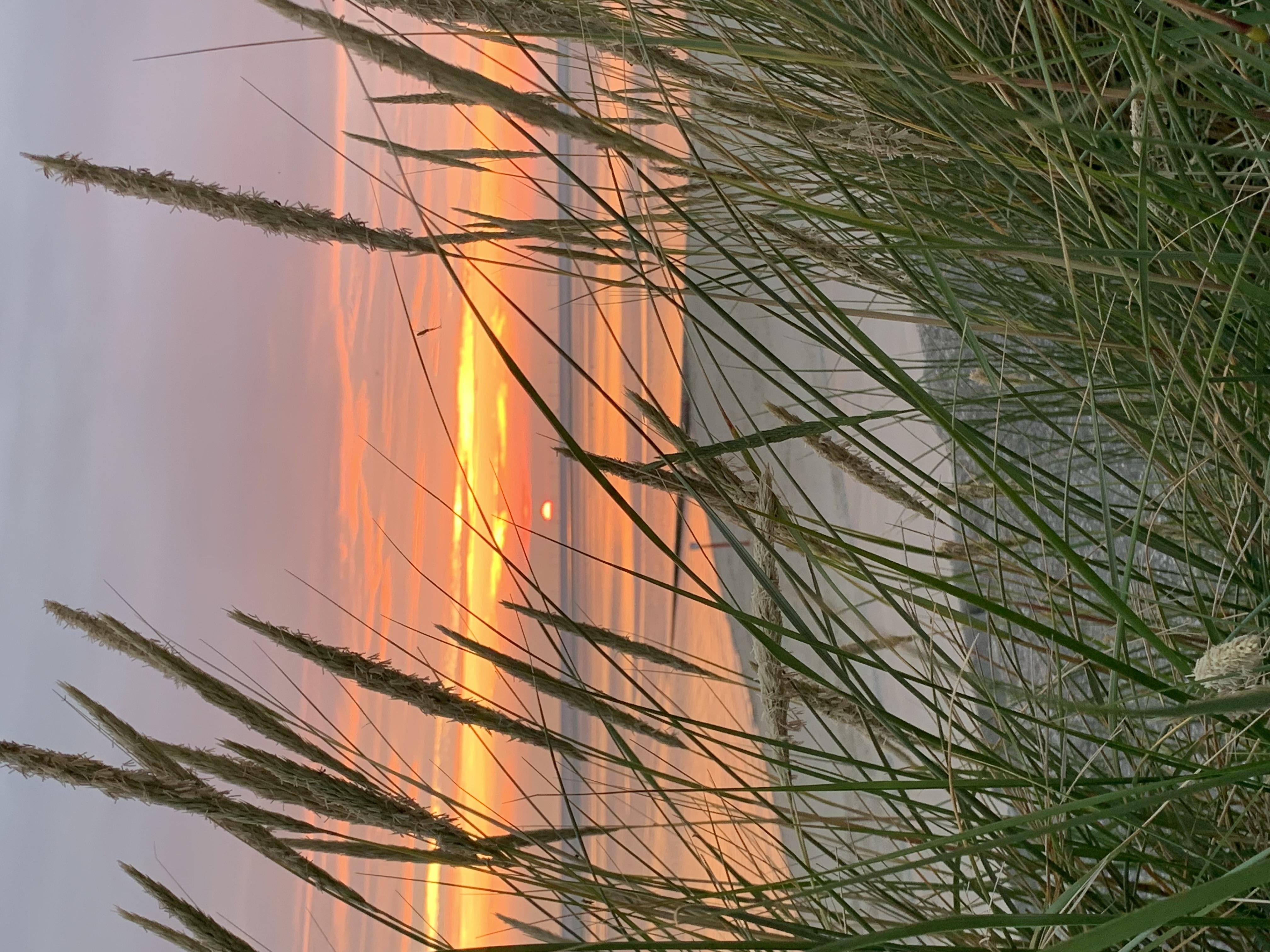 Strandbude Borkum, Borkum