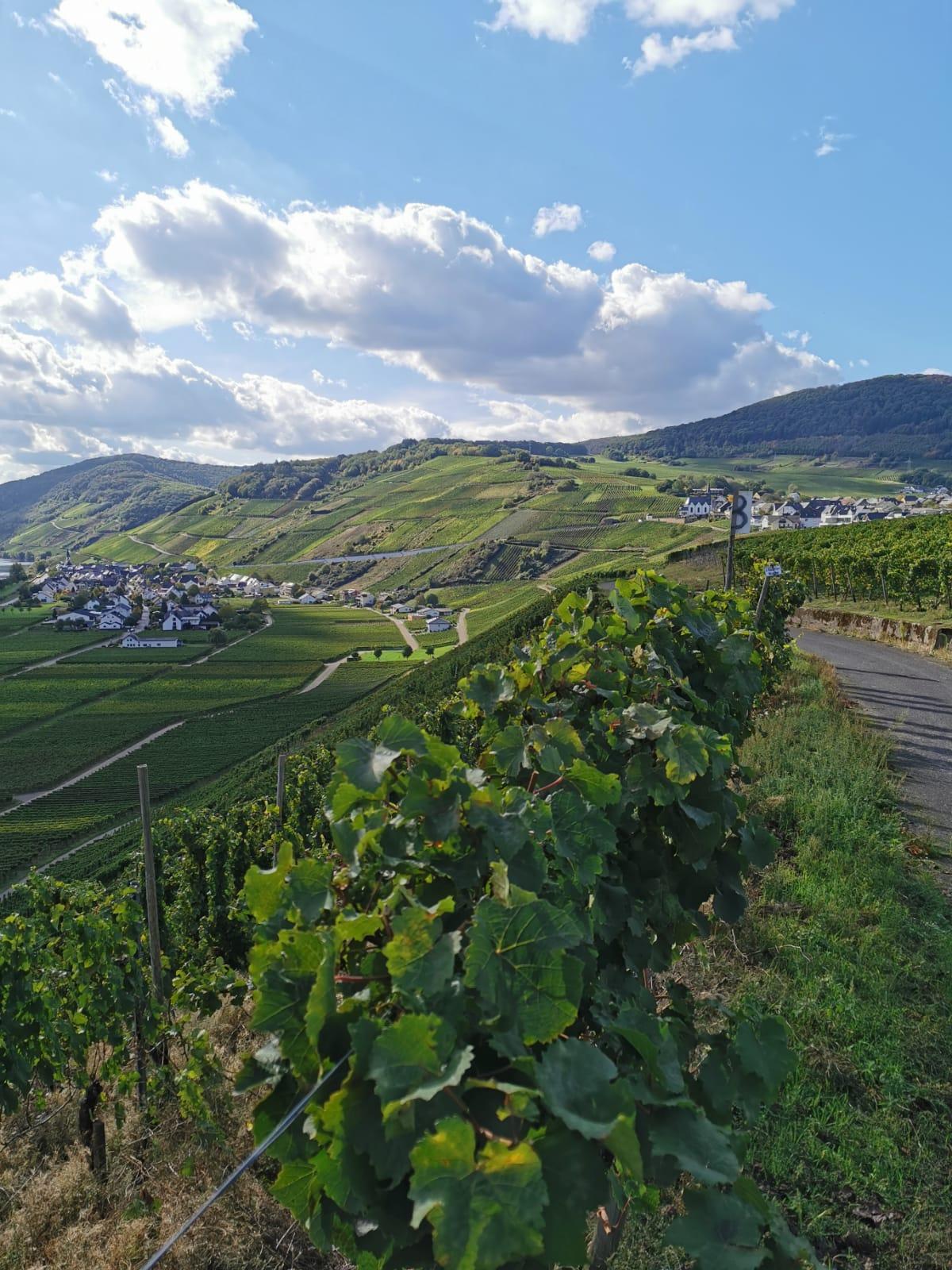 Weinberg