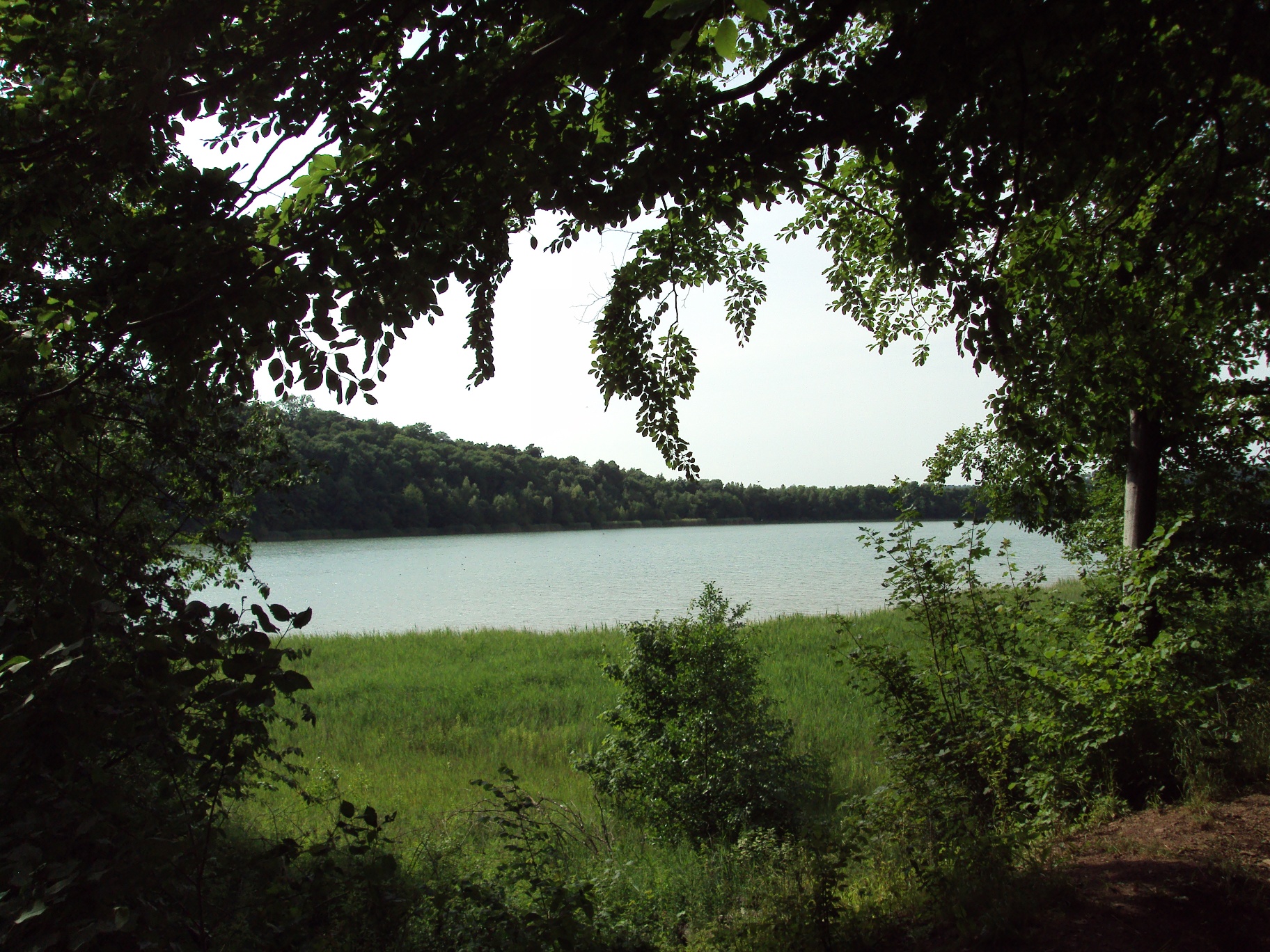 Rundwanderweg Bismarckturm und Reihersee im Höhenzug Salzgitter