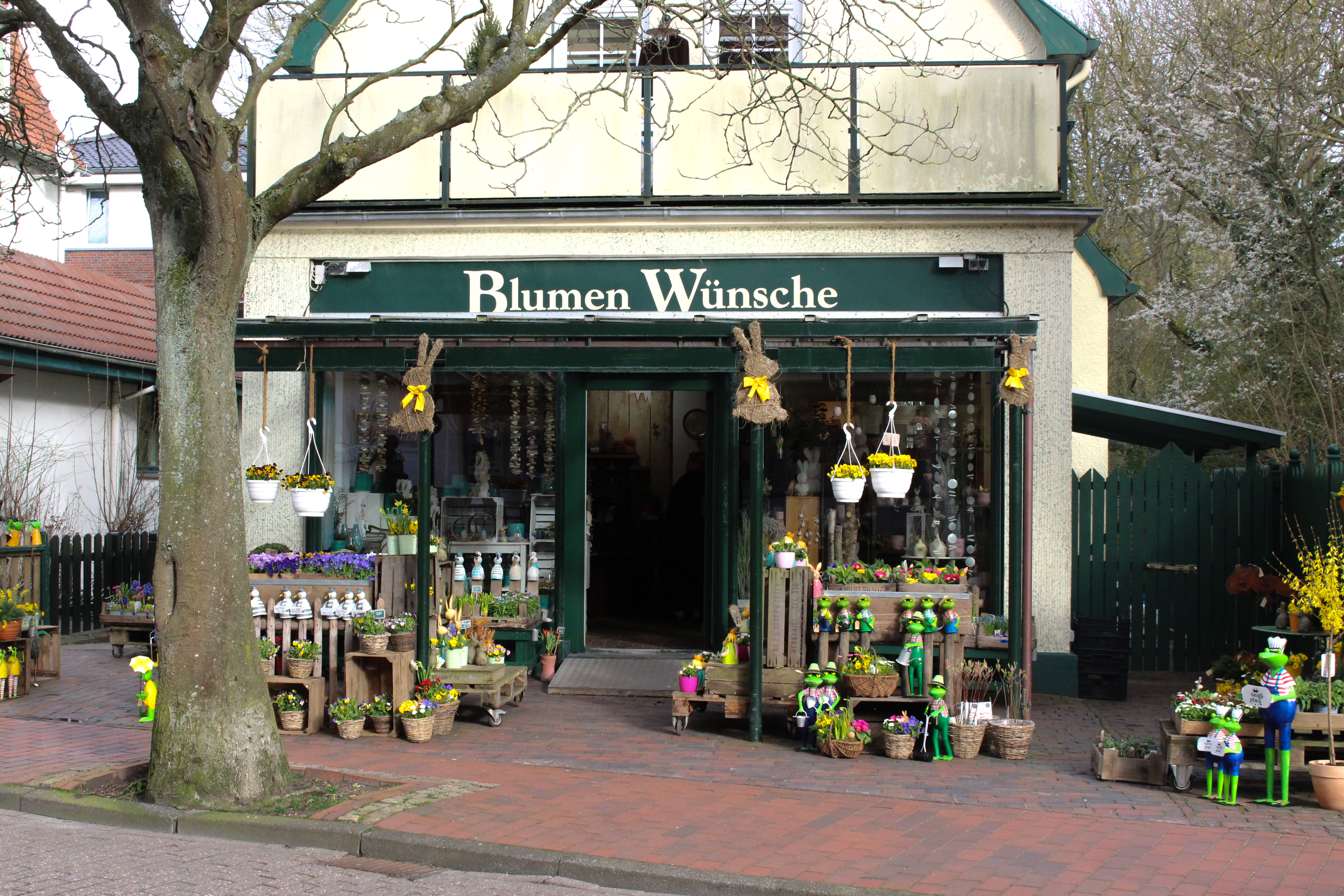 Blumen Wünsche