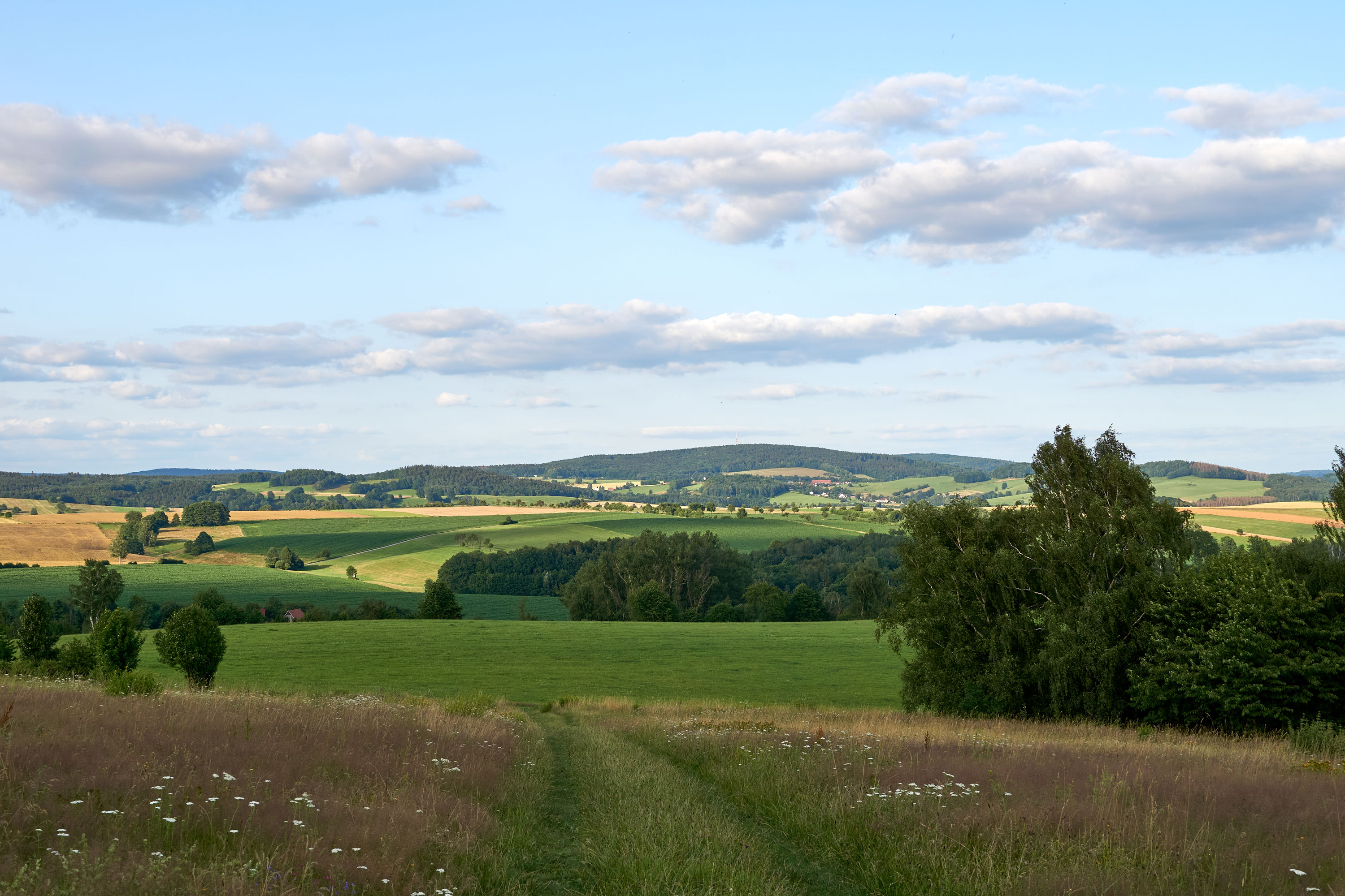 Napoleonschanze-Aussicht