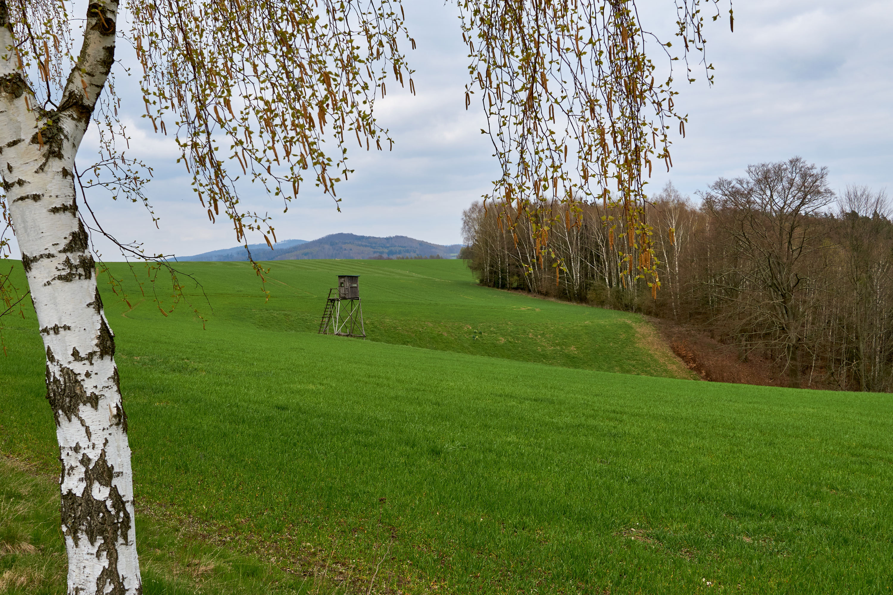 Schwarzbachtal