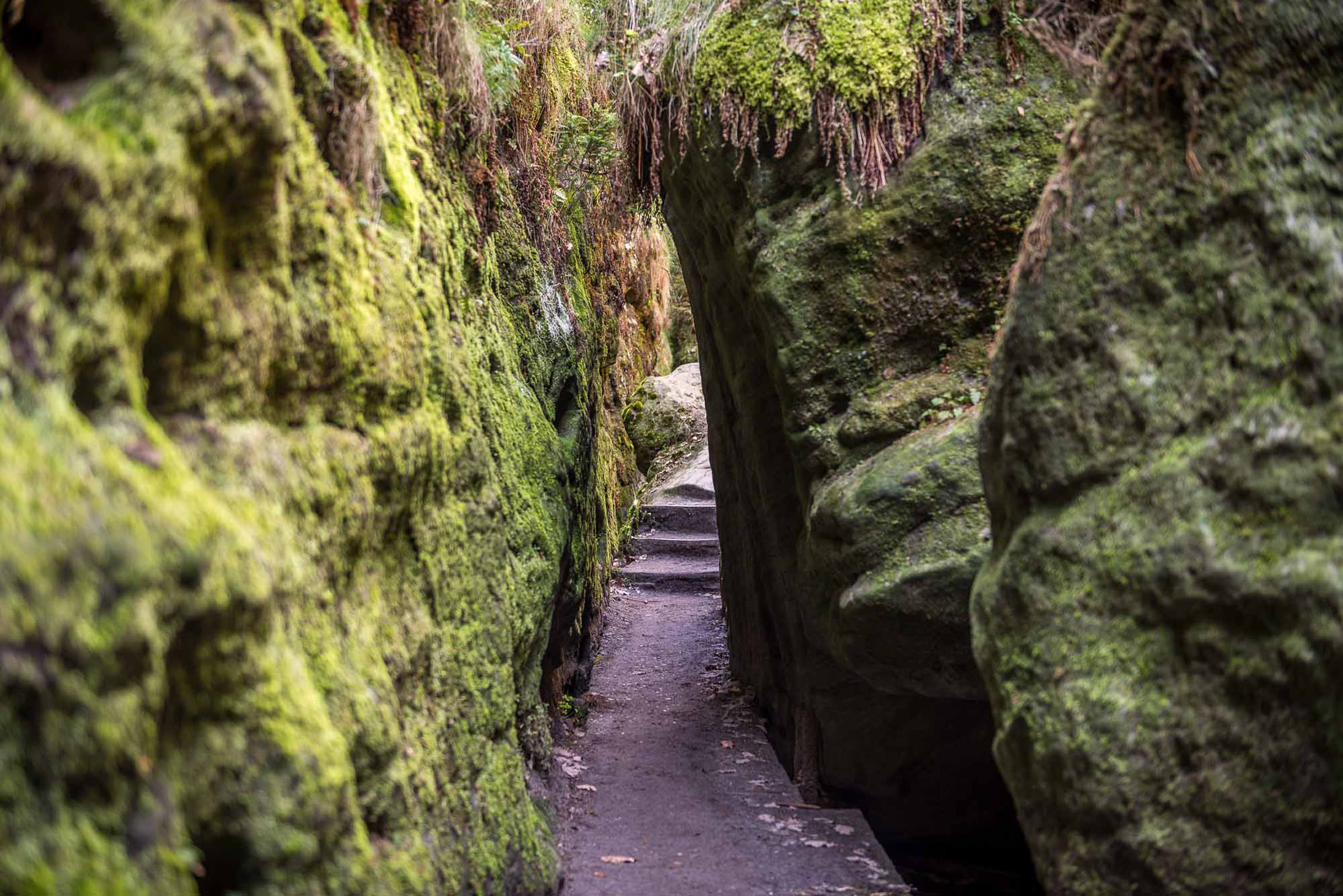 Schwedenlöcher Schlucht – Motiv