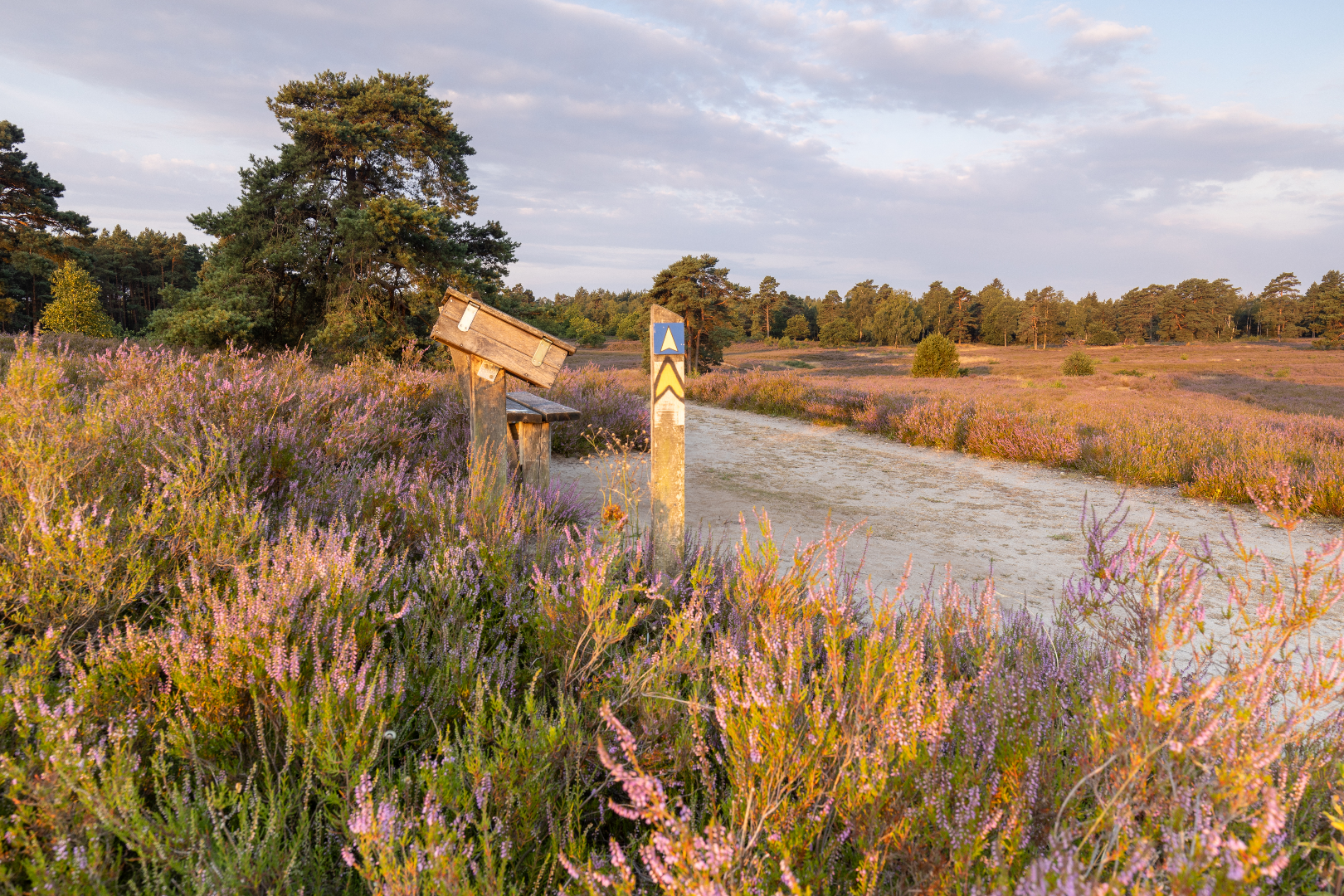 Heide-Panorama-Weg
