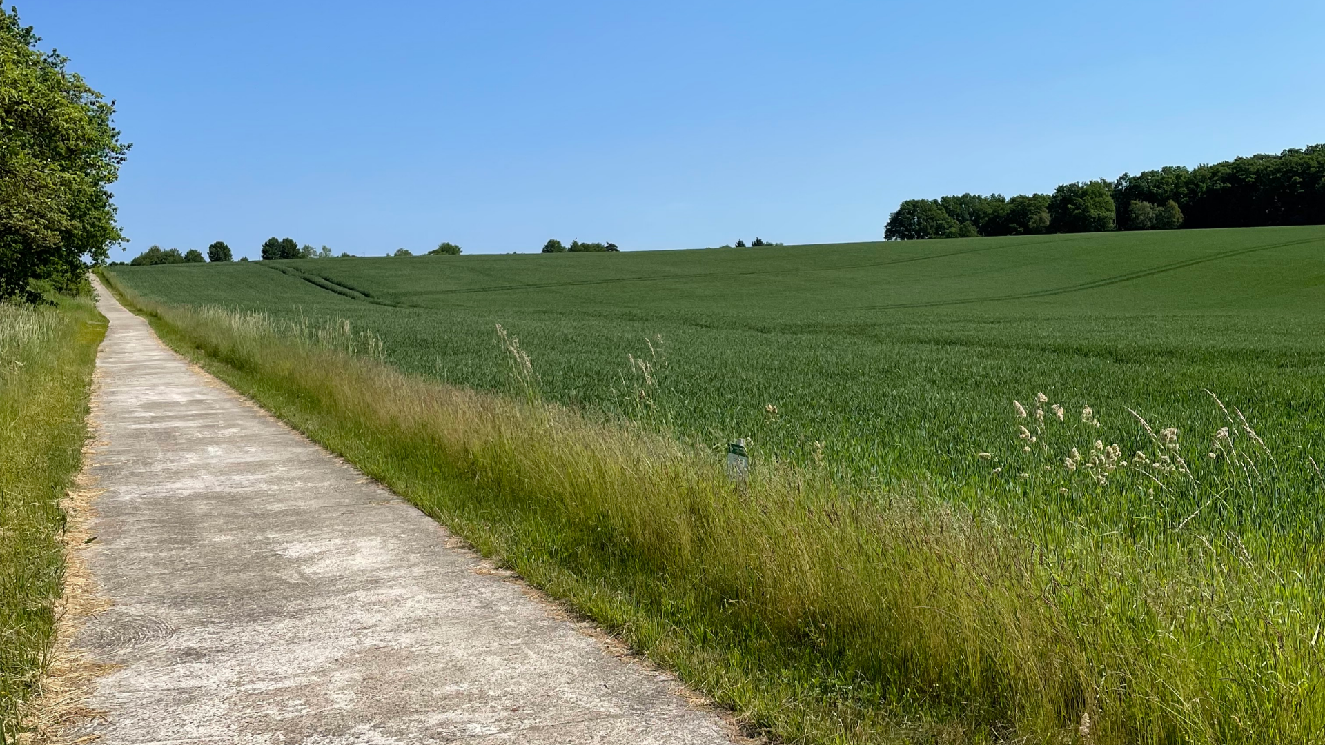 Schafstall-Runde 