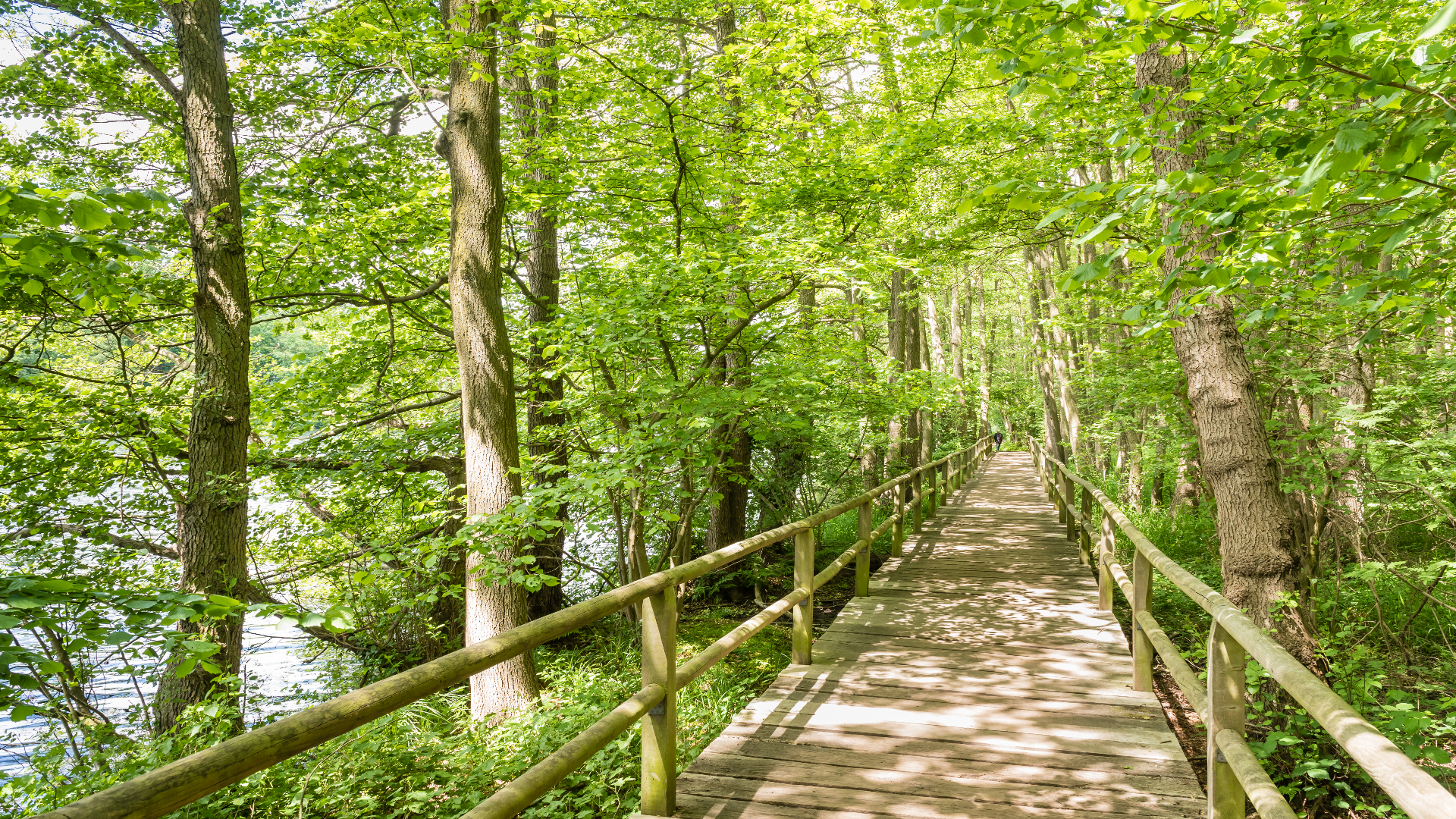 Rundweg um den Lopausee in Amelinghausen
