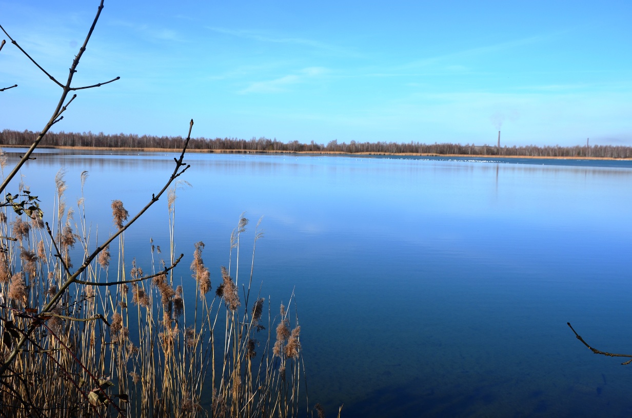 Naturatlas SZ 8: Heerter See