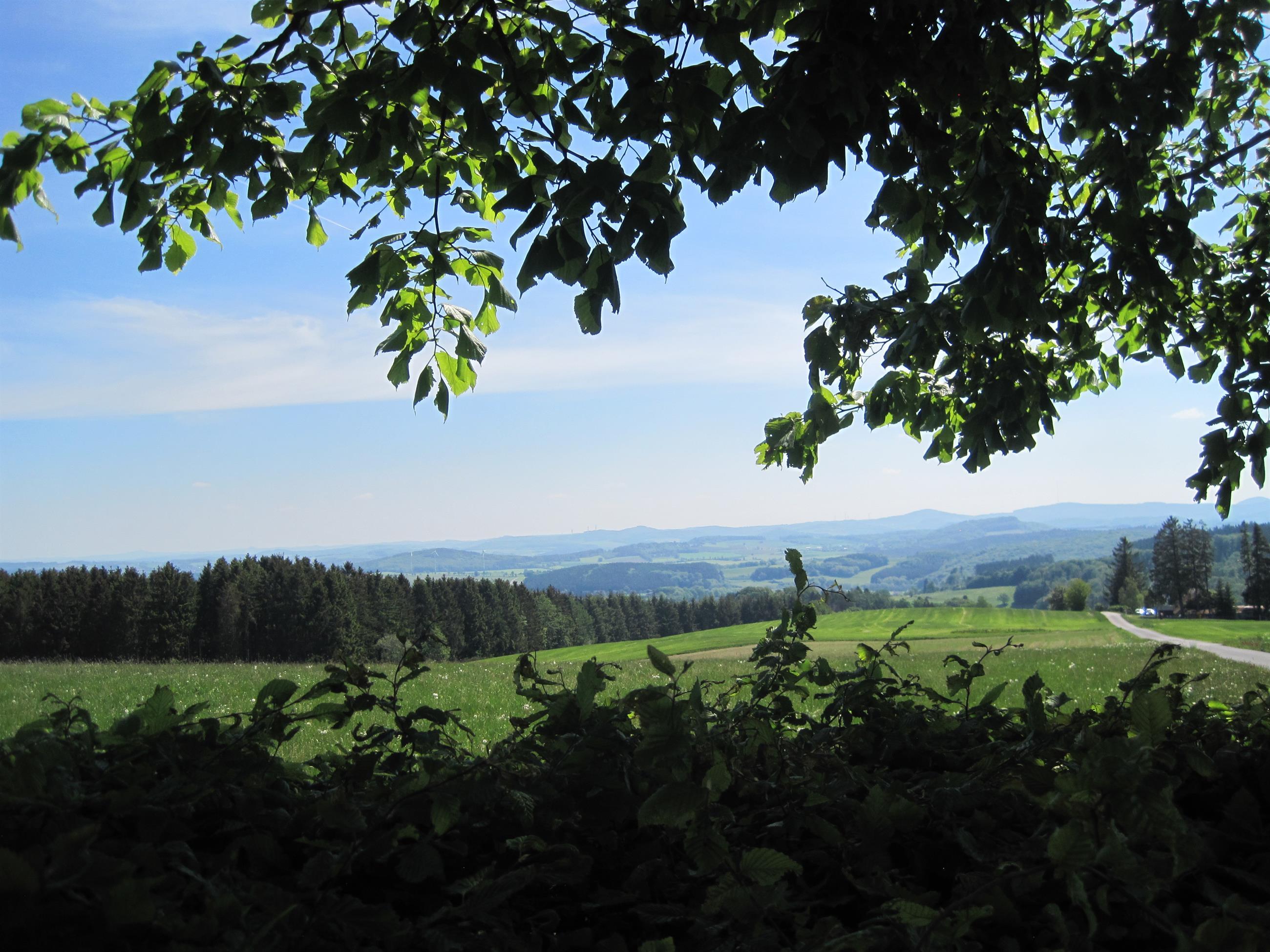 Eifelblick "Auf Heilert" Duppach