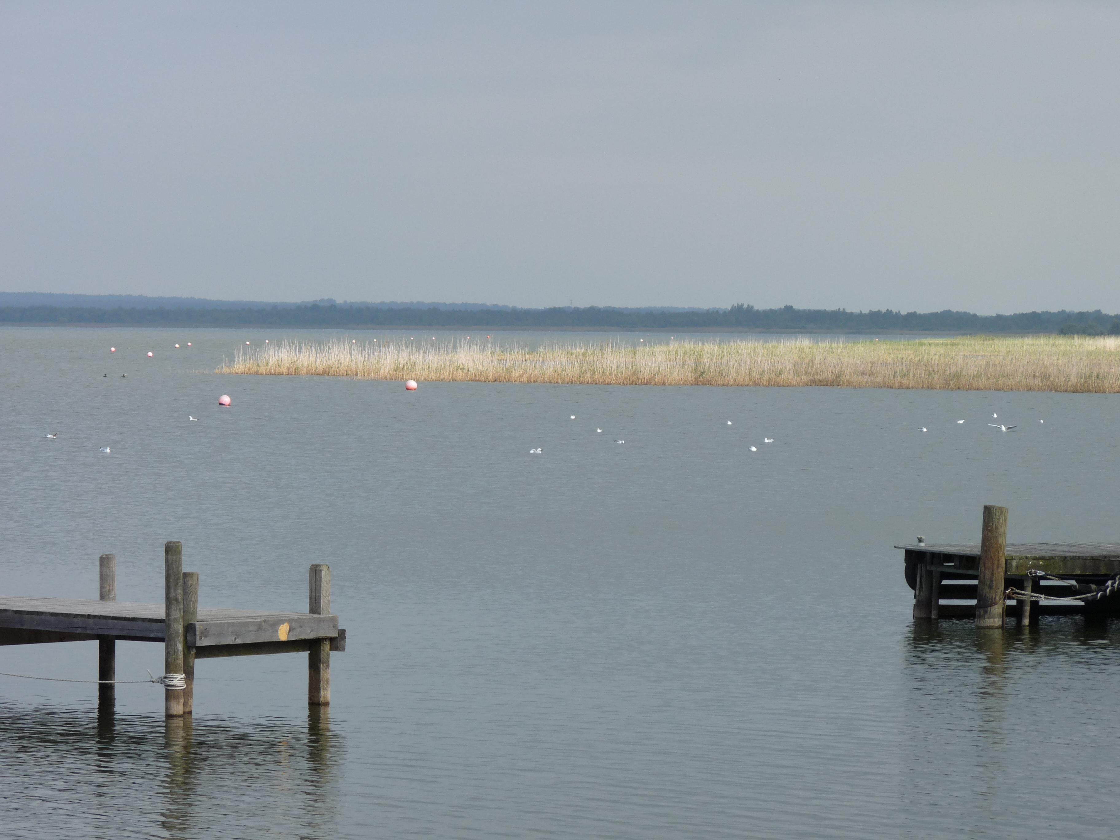 Blick vom Steg