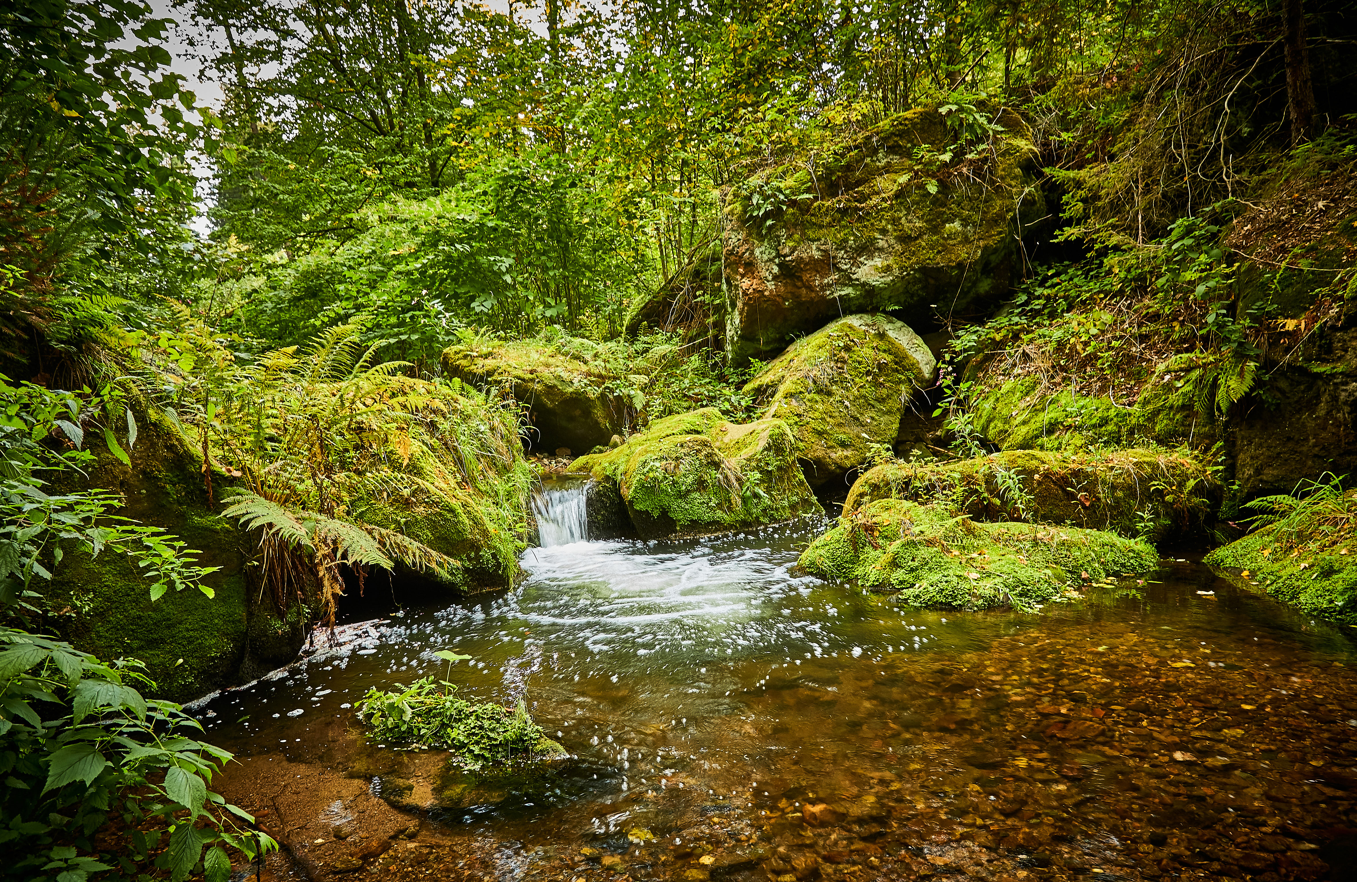 Strudellöcher am Forellensteig – Motiv