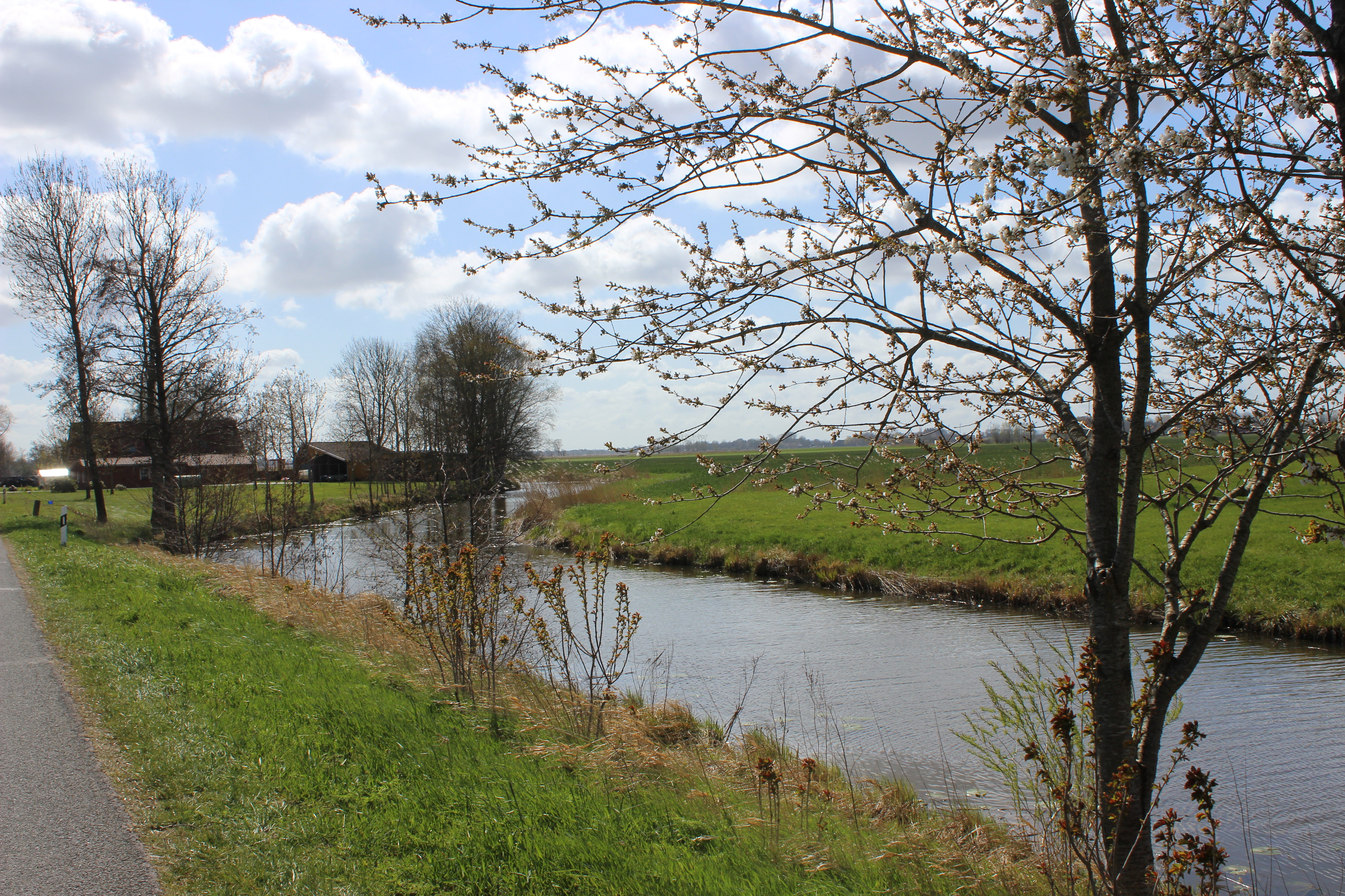 Kanuanleger mit Beobachtungsturm - Straßdeich Ihlienworth