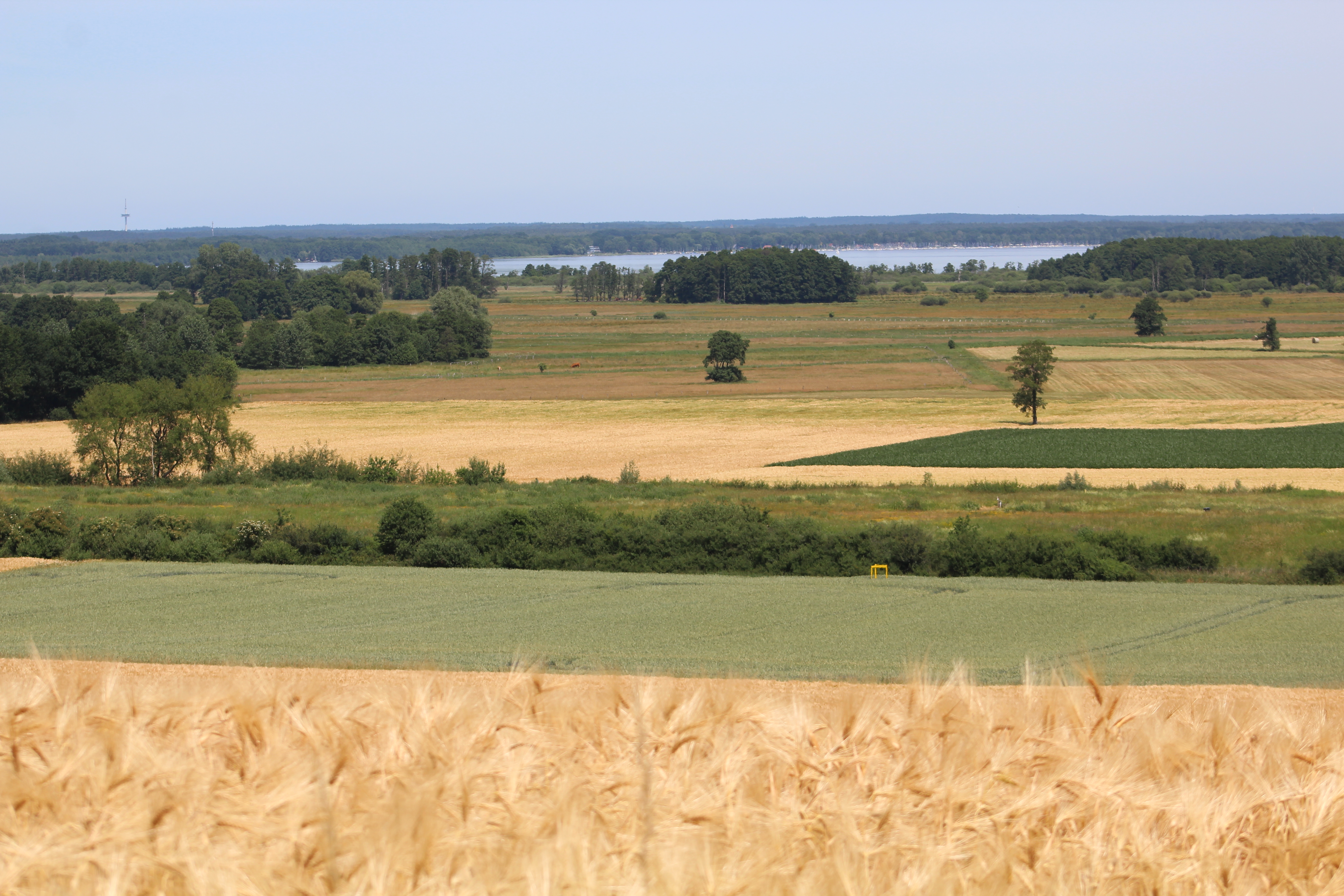 Steinhuder Meer