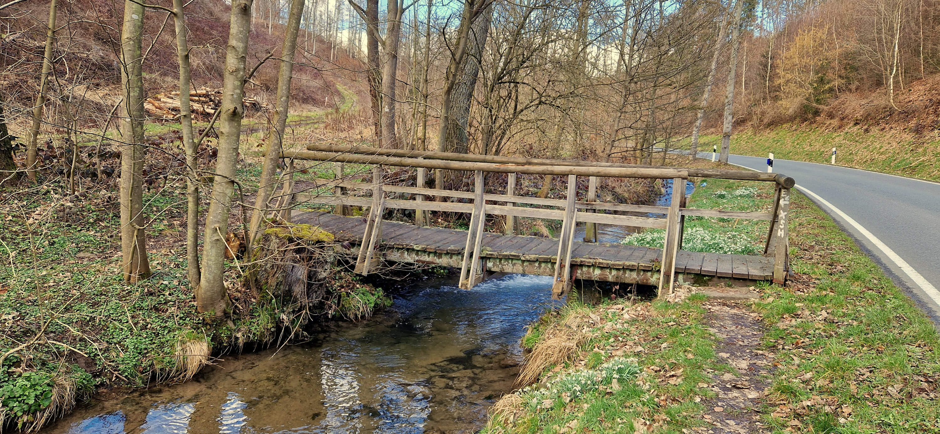 Brücke über Bachlauf (c) Catharina Schütze(1).jpeg
