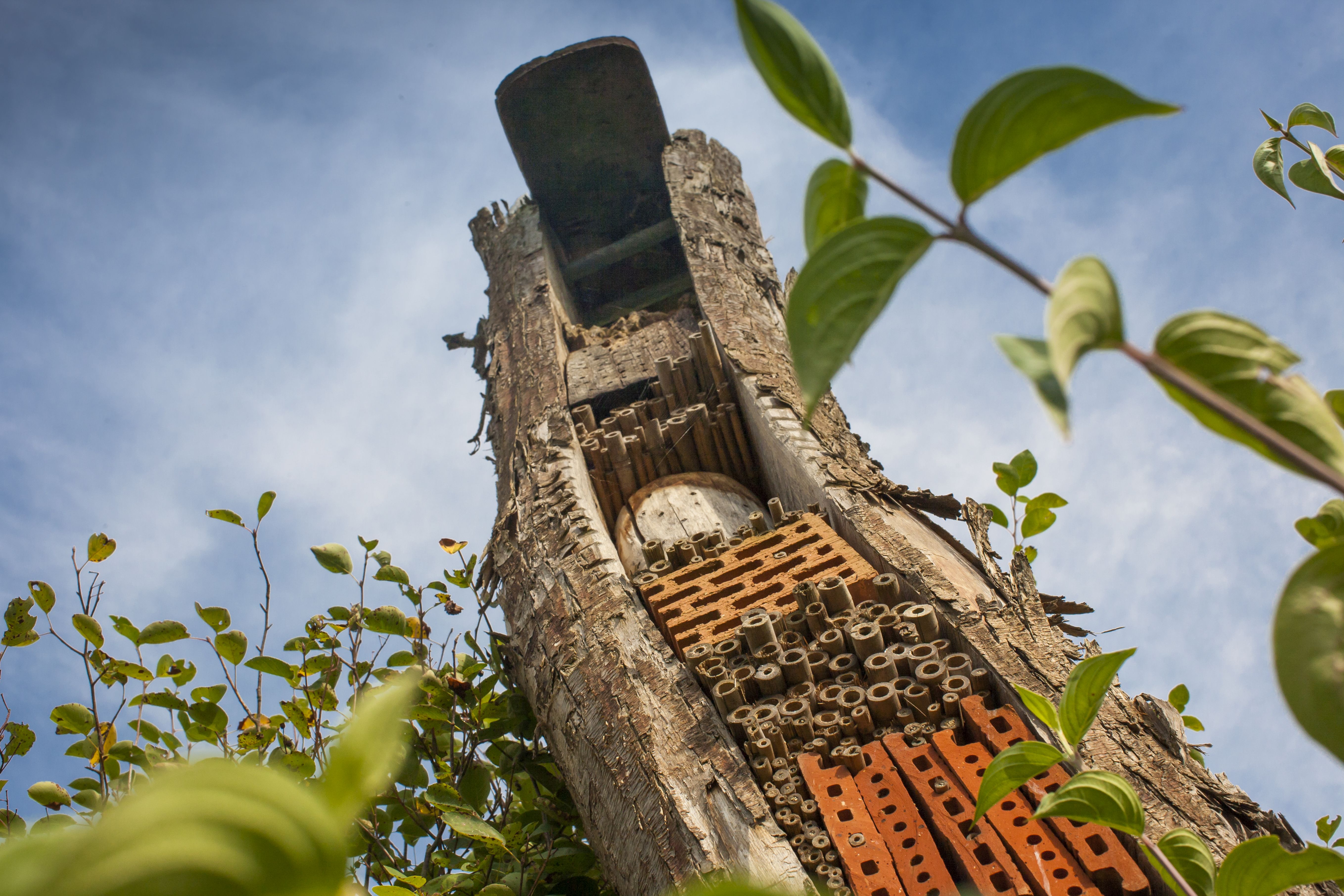 Insektenhotel im Museum der Gartenkultur in Illertissen