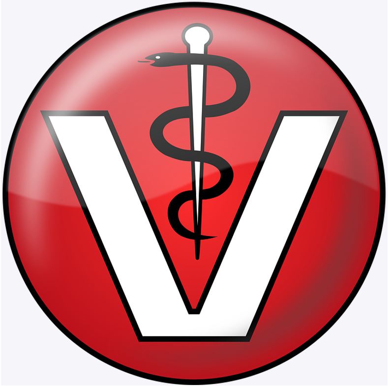 Kleintierarztpraxis Viktor Leis