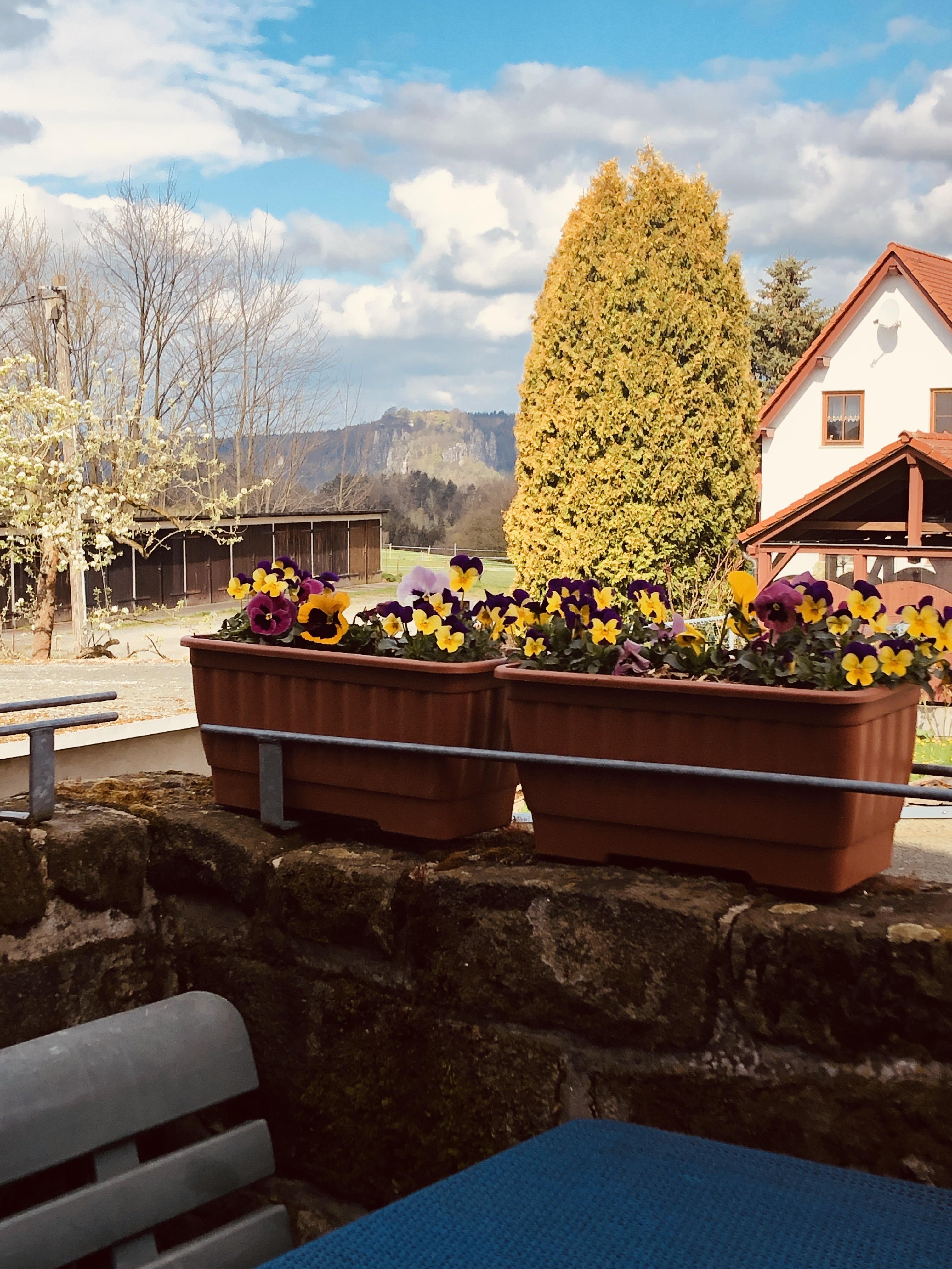 Blick zur Bastei von der Terrasse