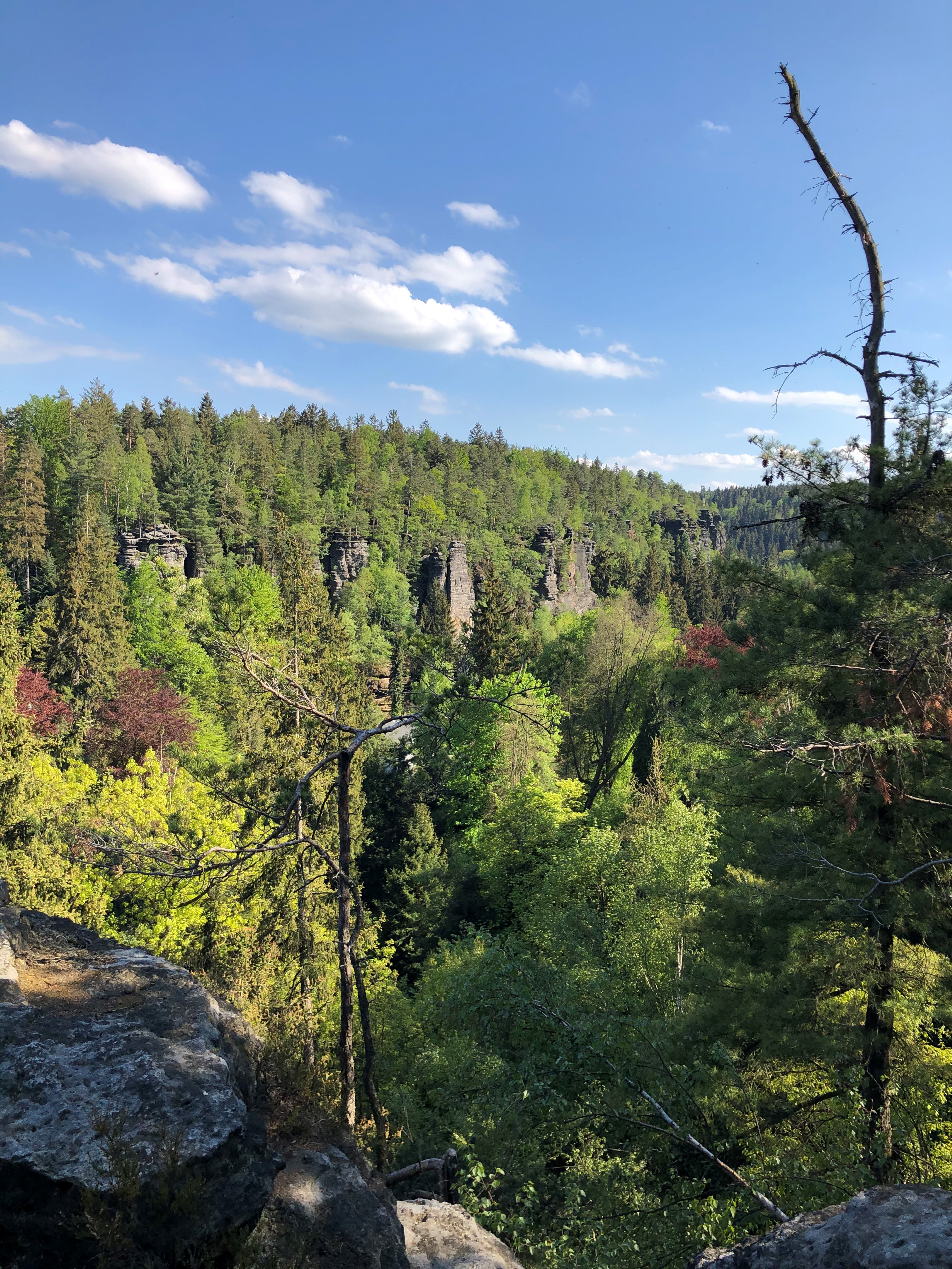Nachbar-Aussicht – Motiv