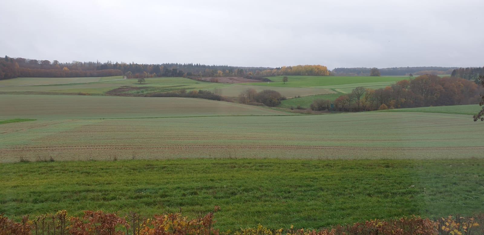 Ausblick ins Grüne.