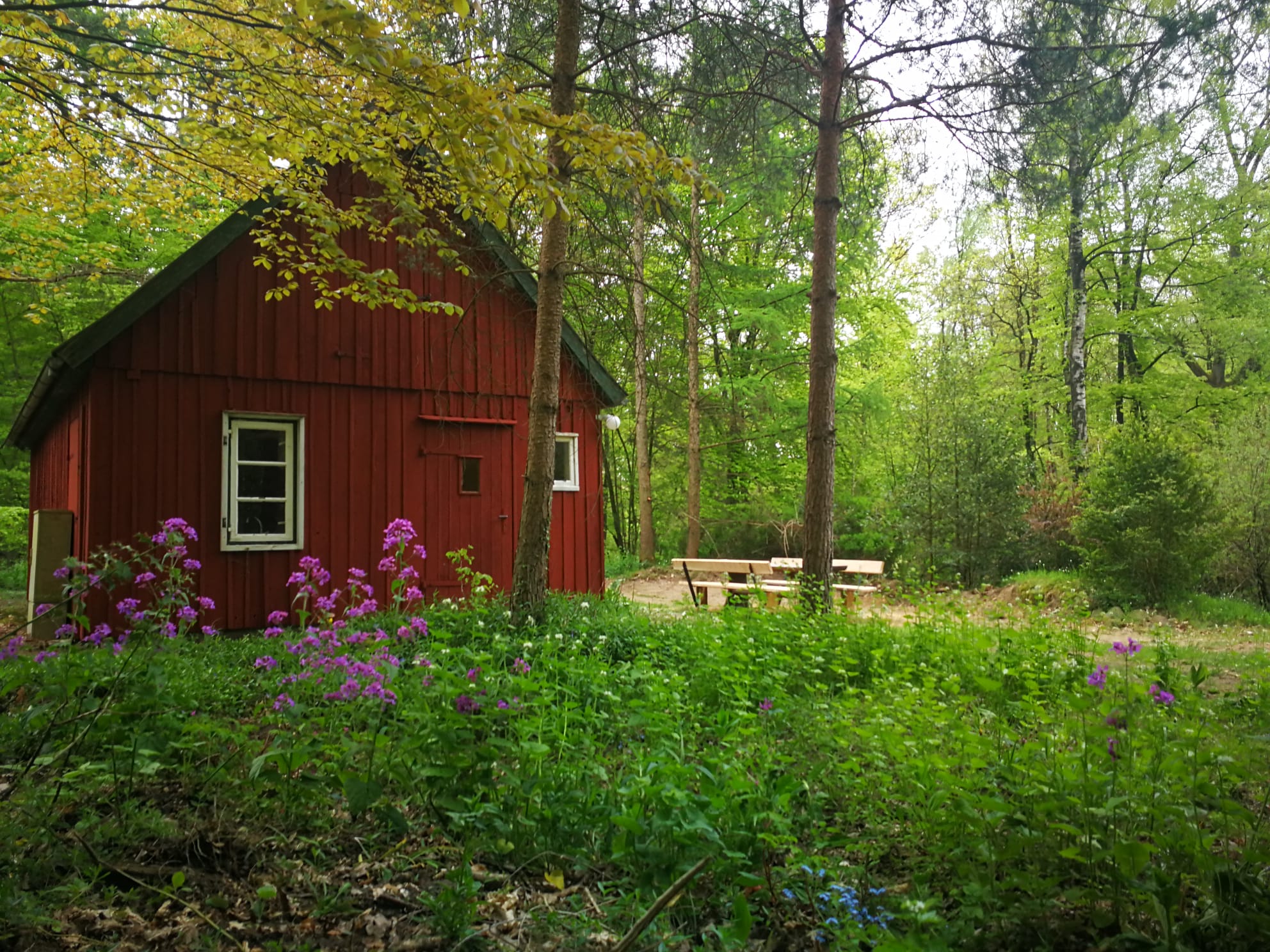 Sommerhaus im Naturcamp