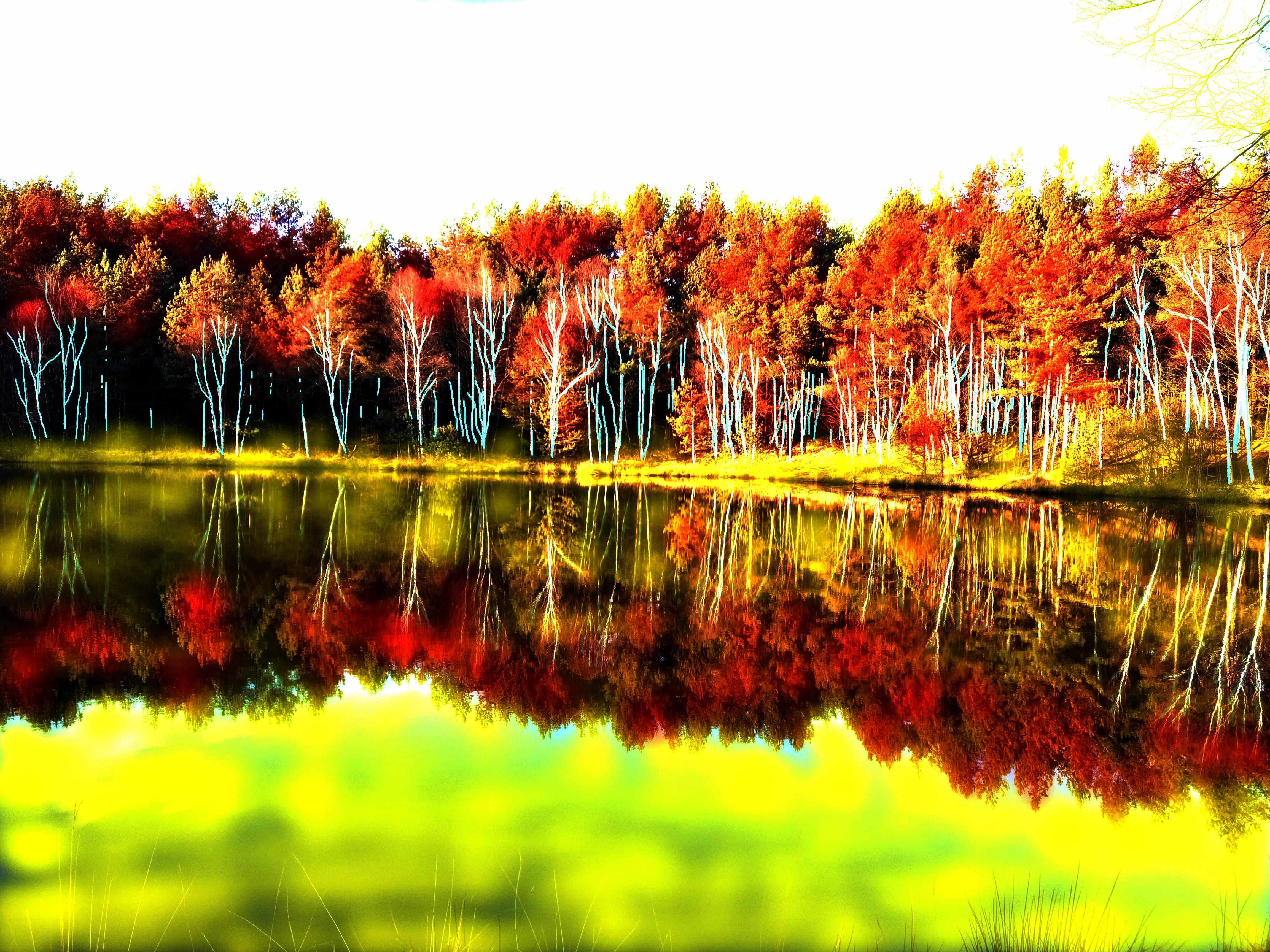 Bunter See